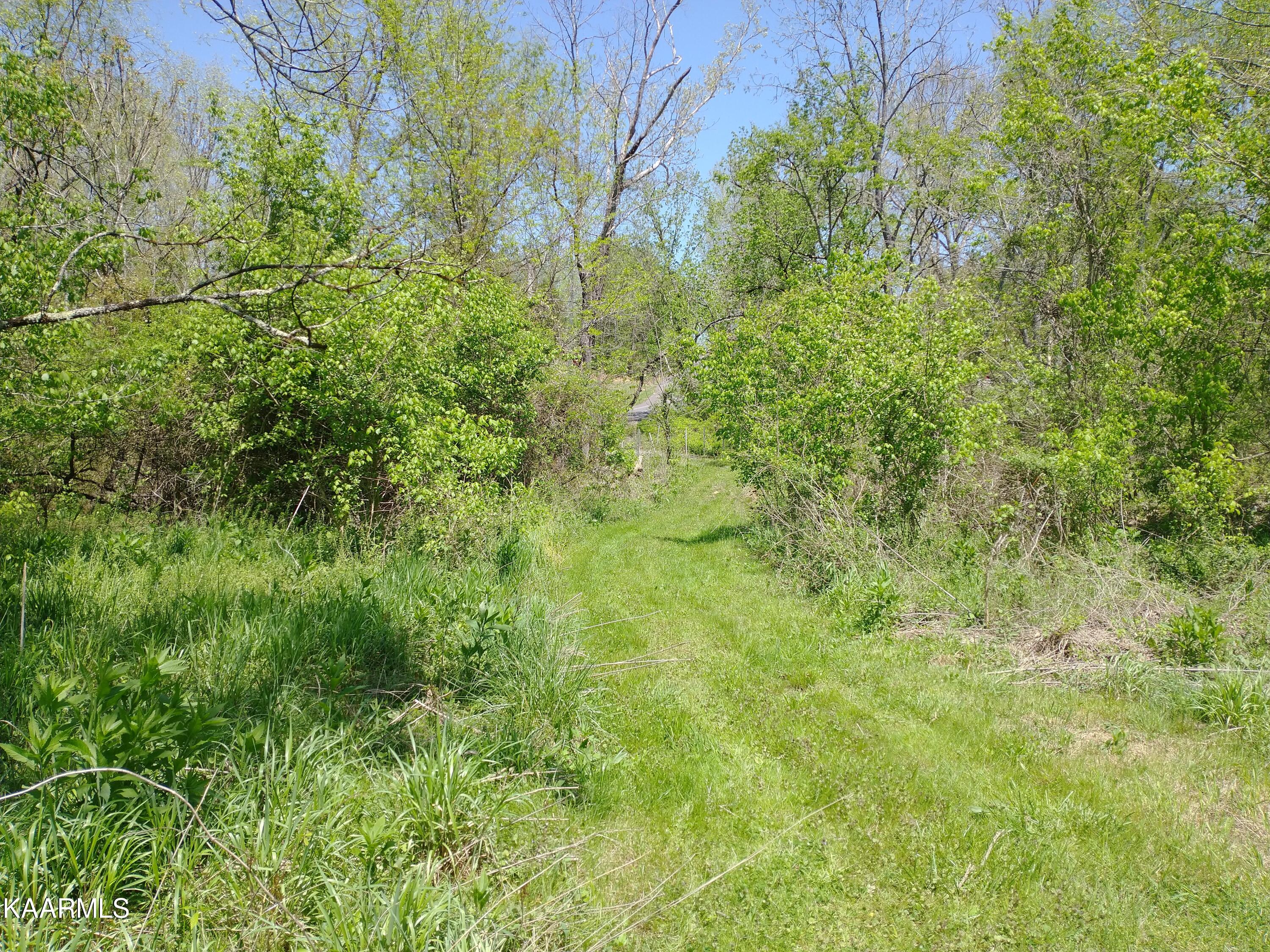 420 Winding Ridge Trail Seymour TN 37865