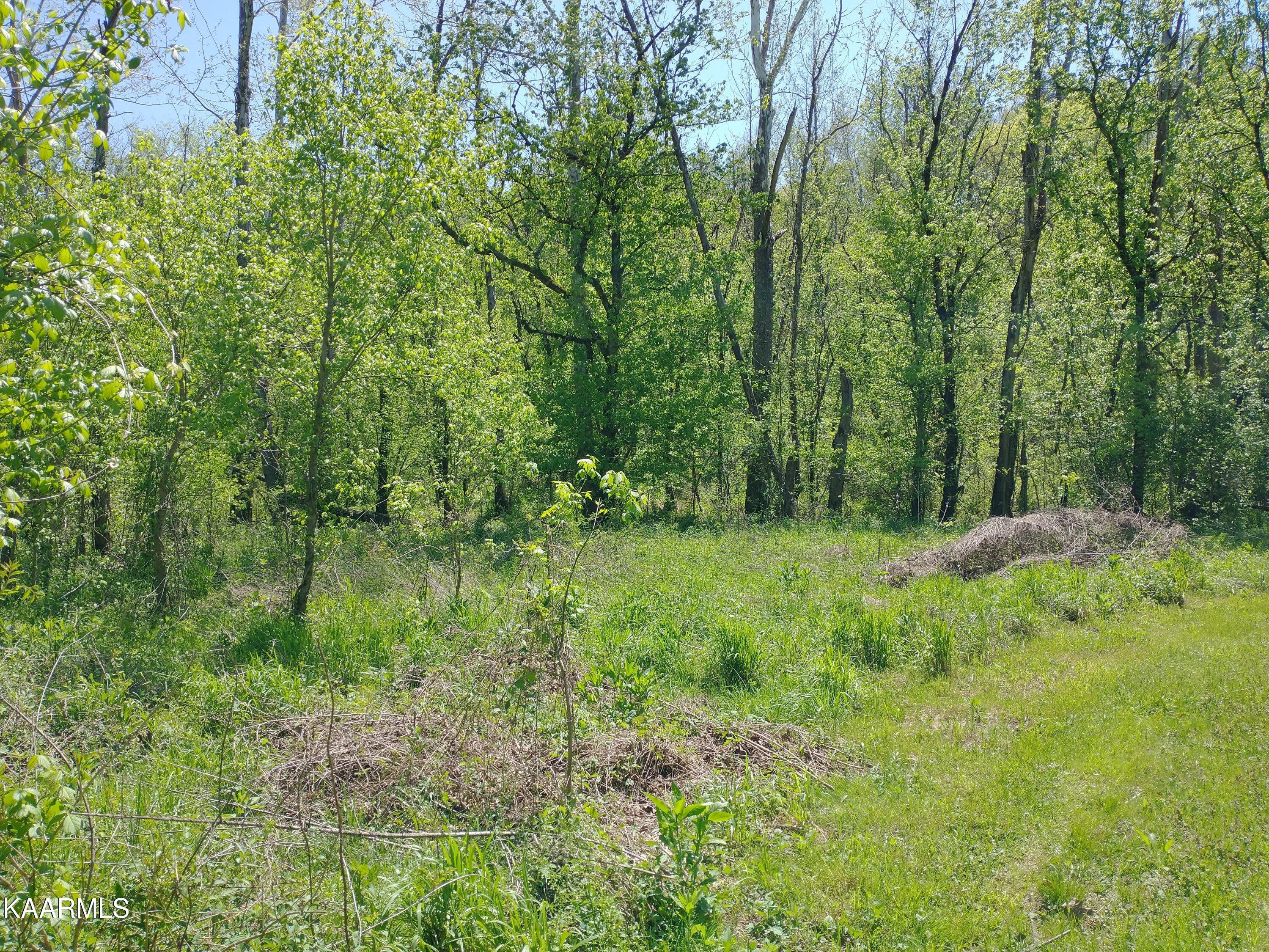 420 Winding Ridge Trail Seymour TN 37865