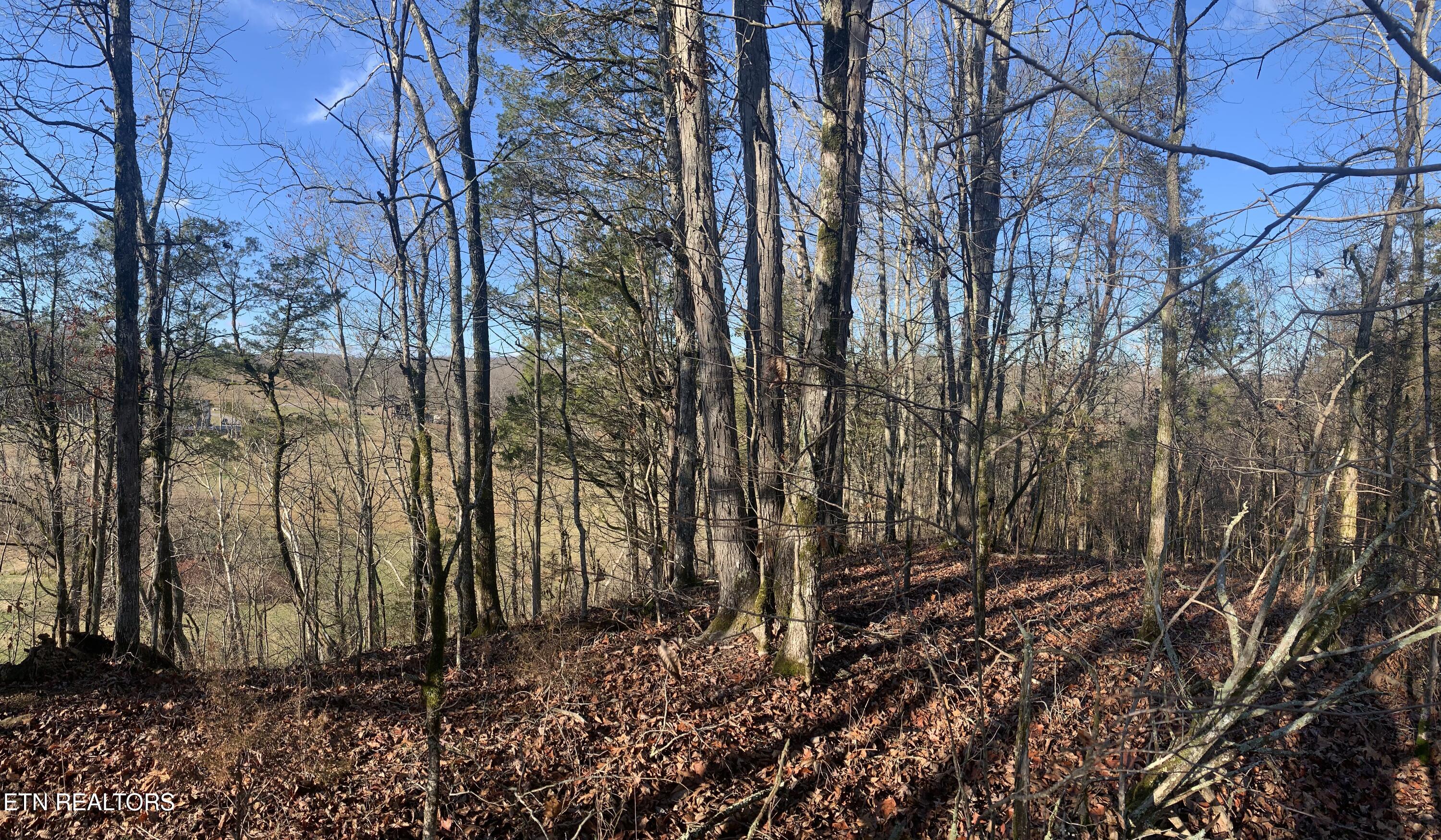 420 Winding Ridge Trail Seymour TN 37865