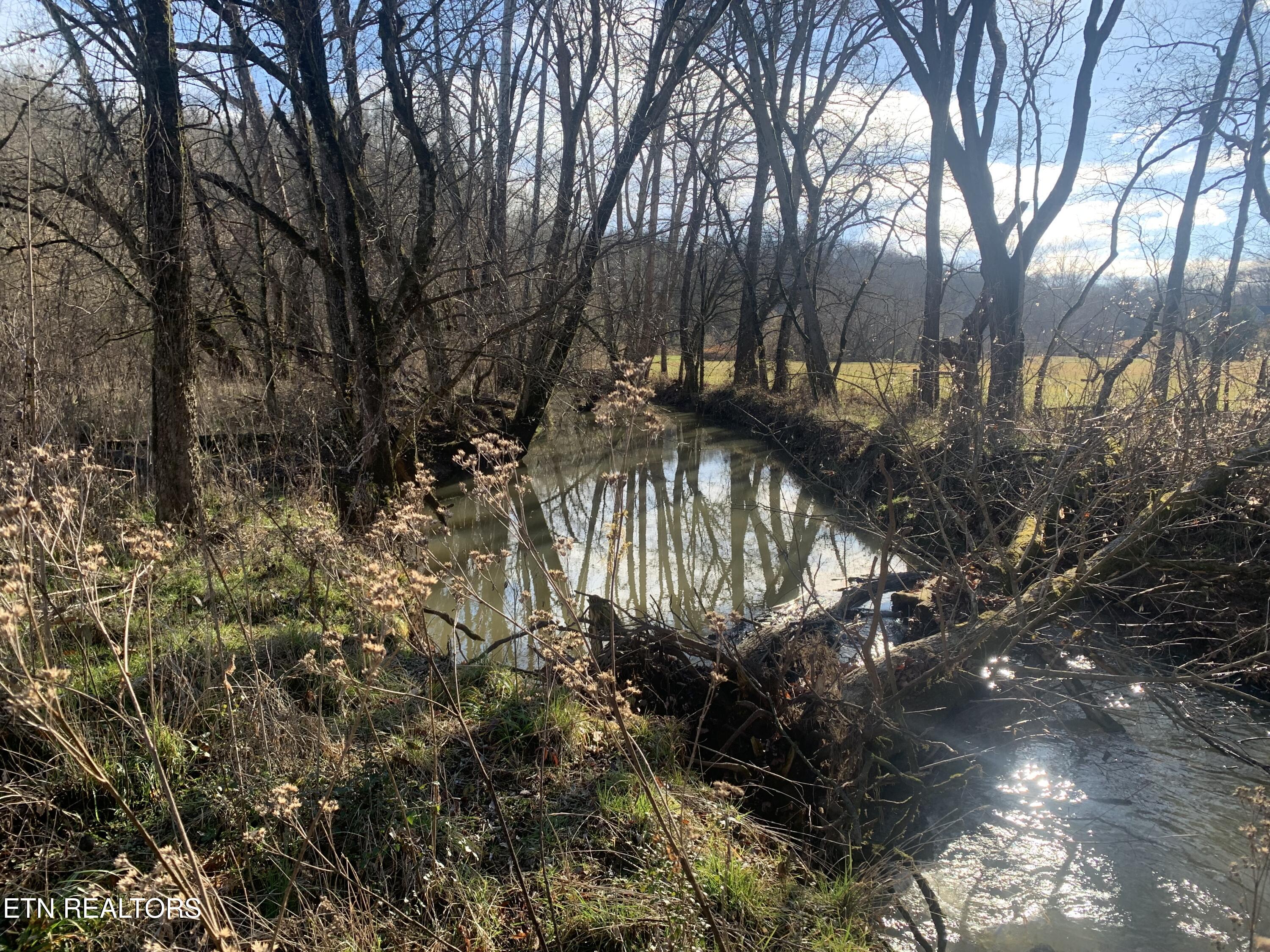 420 Winding Ridge Trail Seymour TN 37865