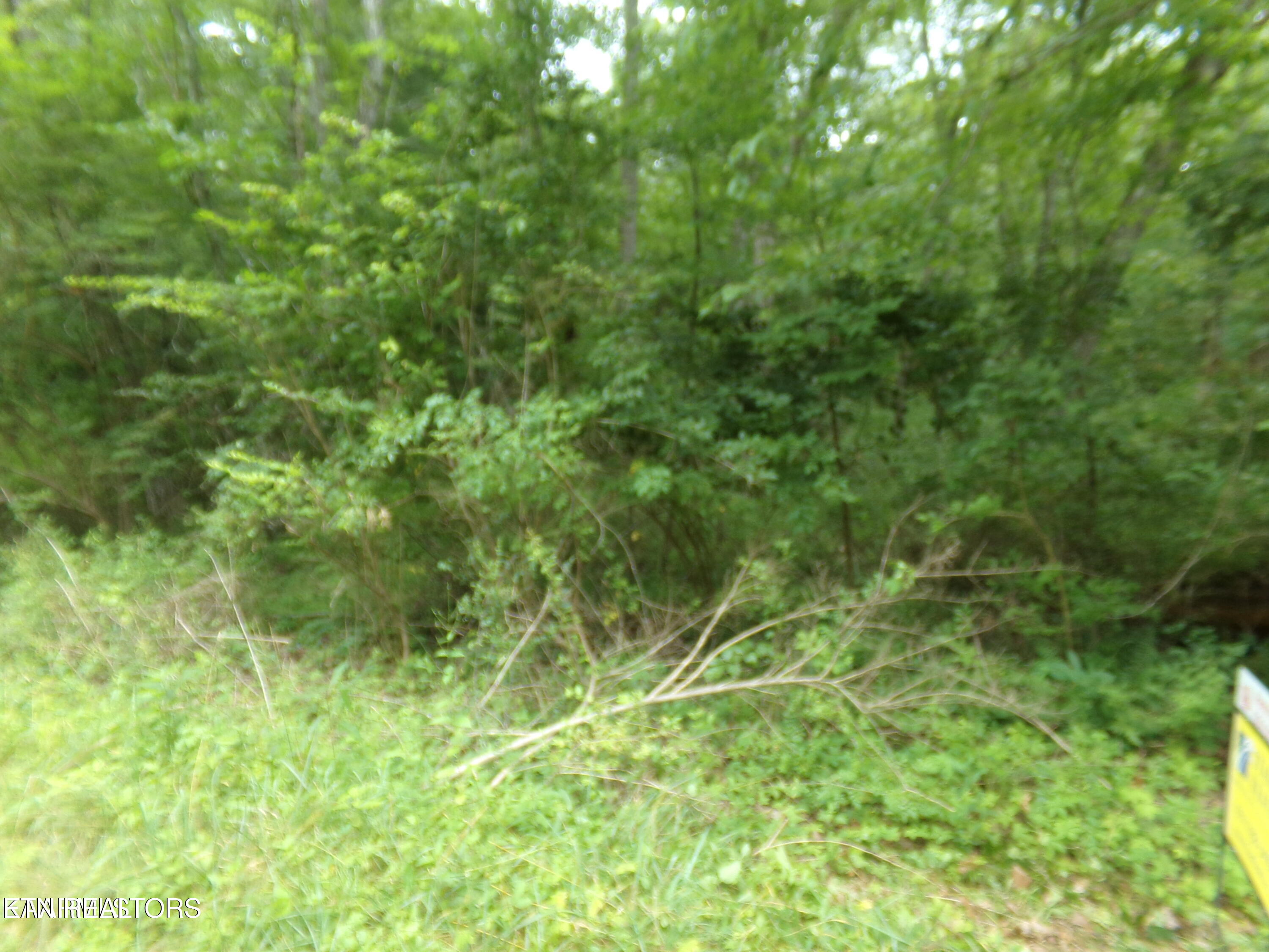 1302 Black Cloud Drive Crossville TN 38572
