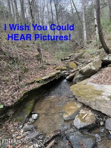 0 Hickory Creek Road Lafollette TN 37766