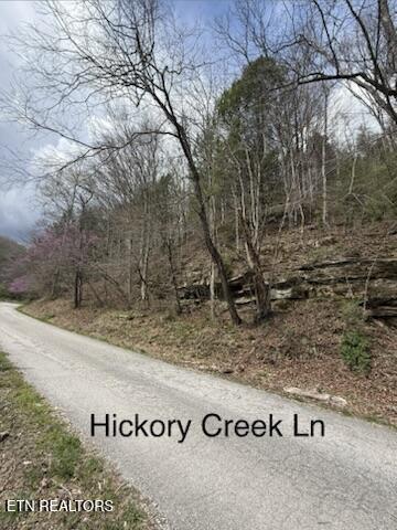 0 Hickory Creek Road Lafollette TN 37766