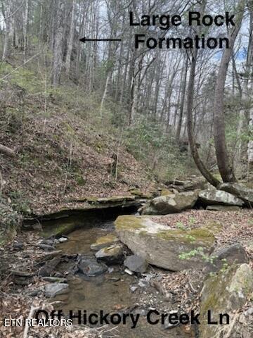 0 Hickory Creek Road Lafollette TN 37766