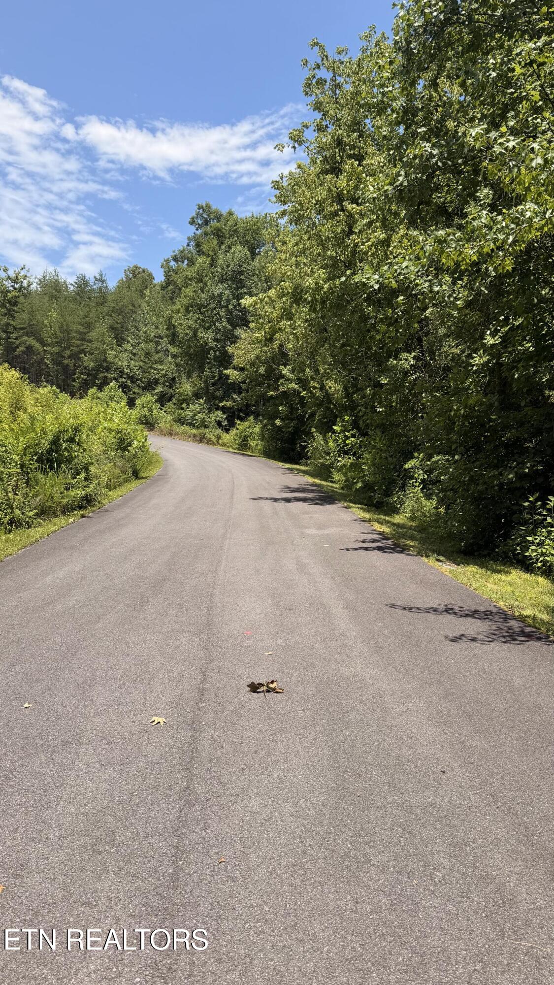 0 Huff Overlook Way Del Rio TN 37727