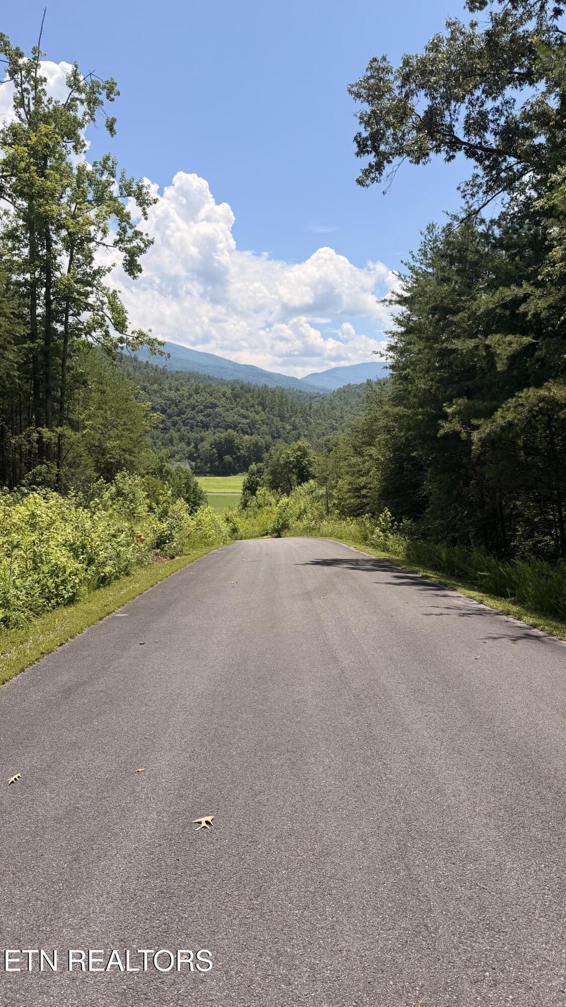0 Huff Overlook Way Del Rio TN 37727