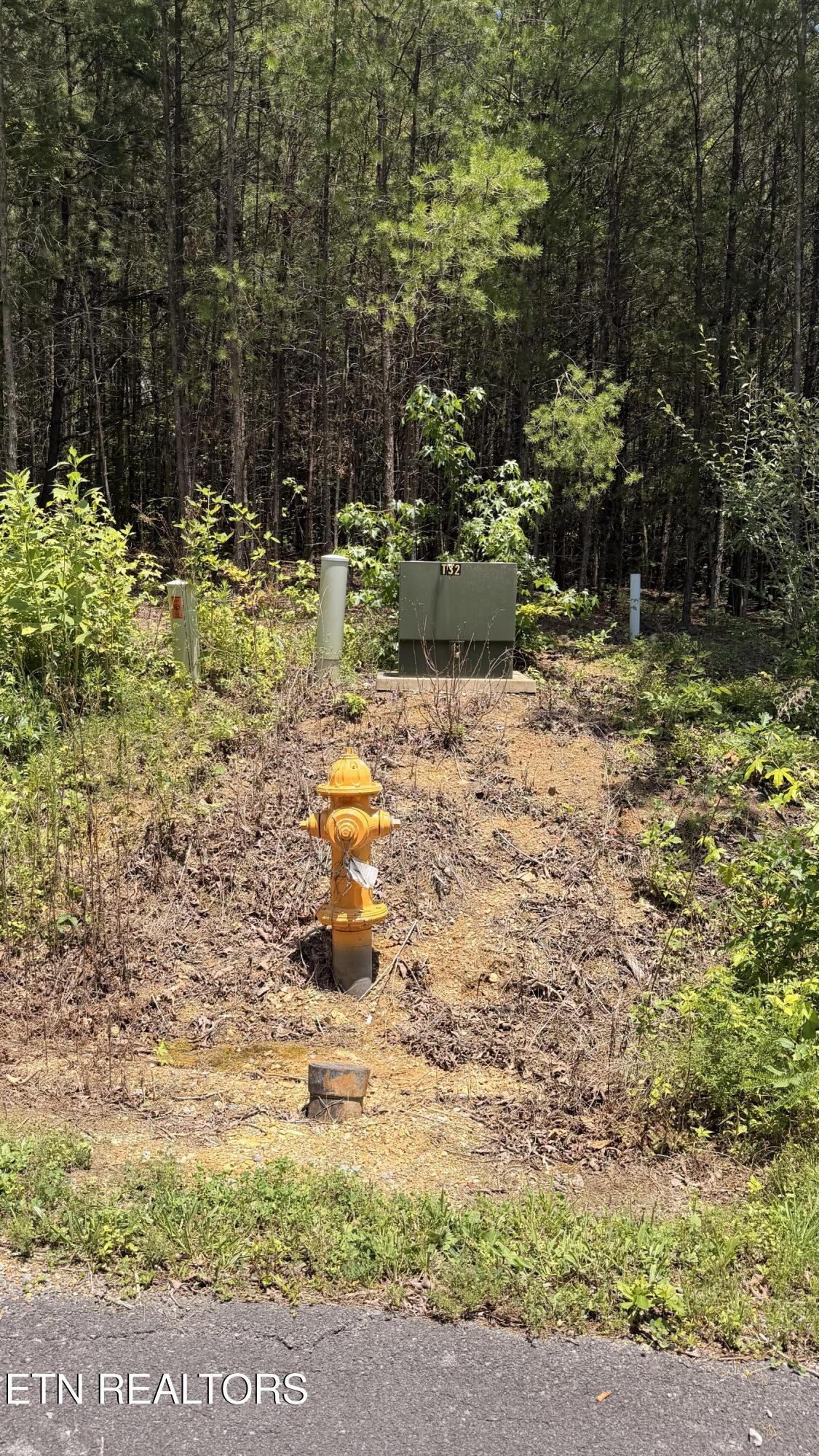 0 Huff Overlook Way Del Rio TN 37727