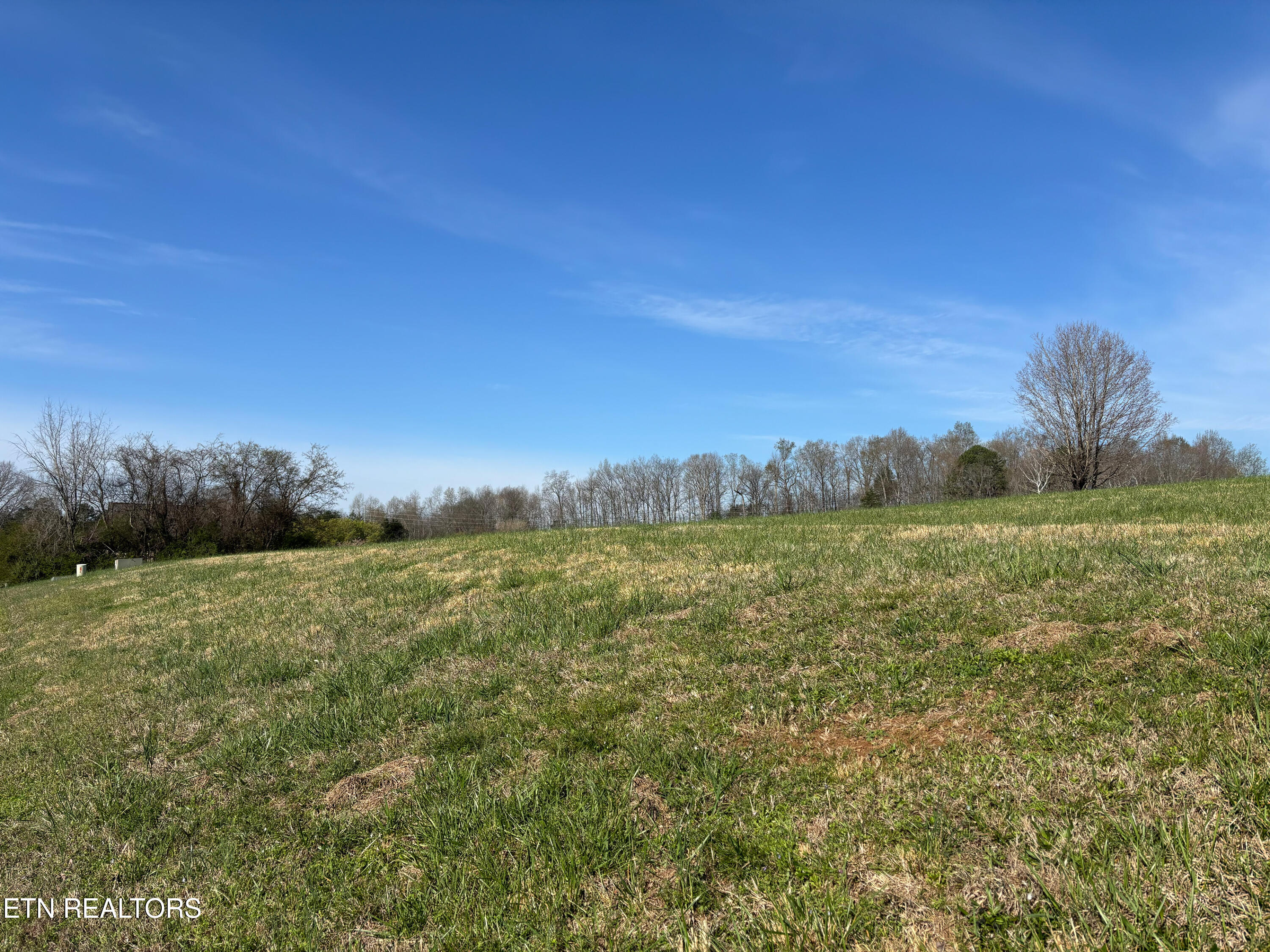 250 Osprey Circle Vonore TN 37885