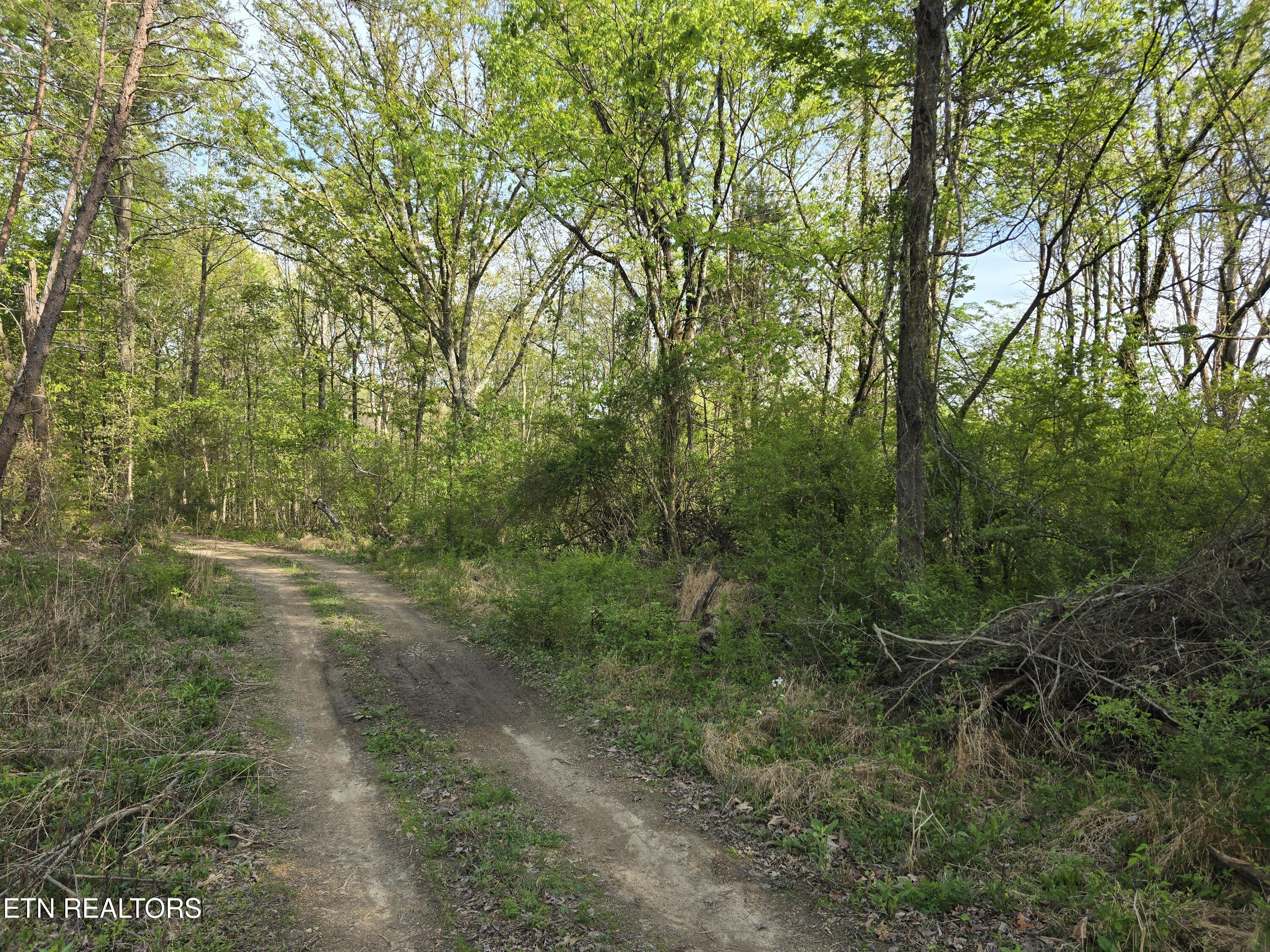 3697 Jackson Bend Road Lenoir City TN 37772