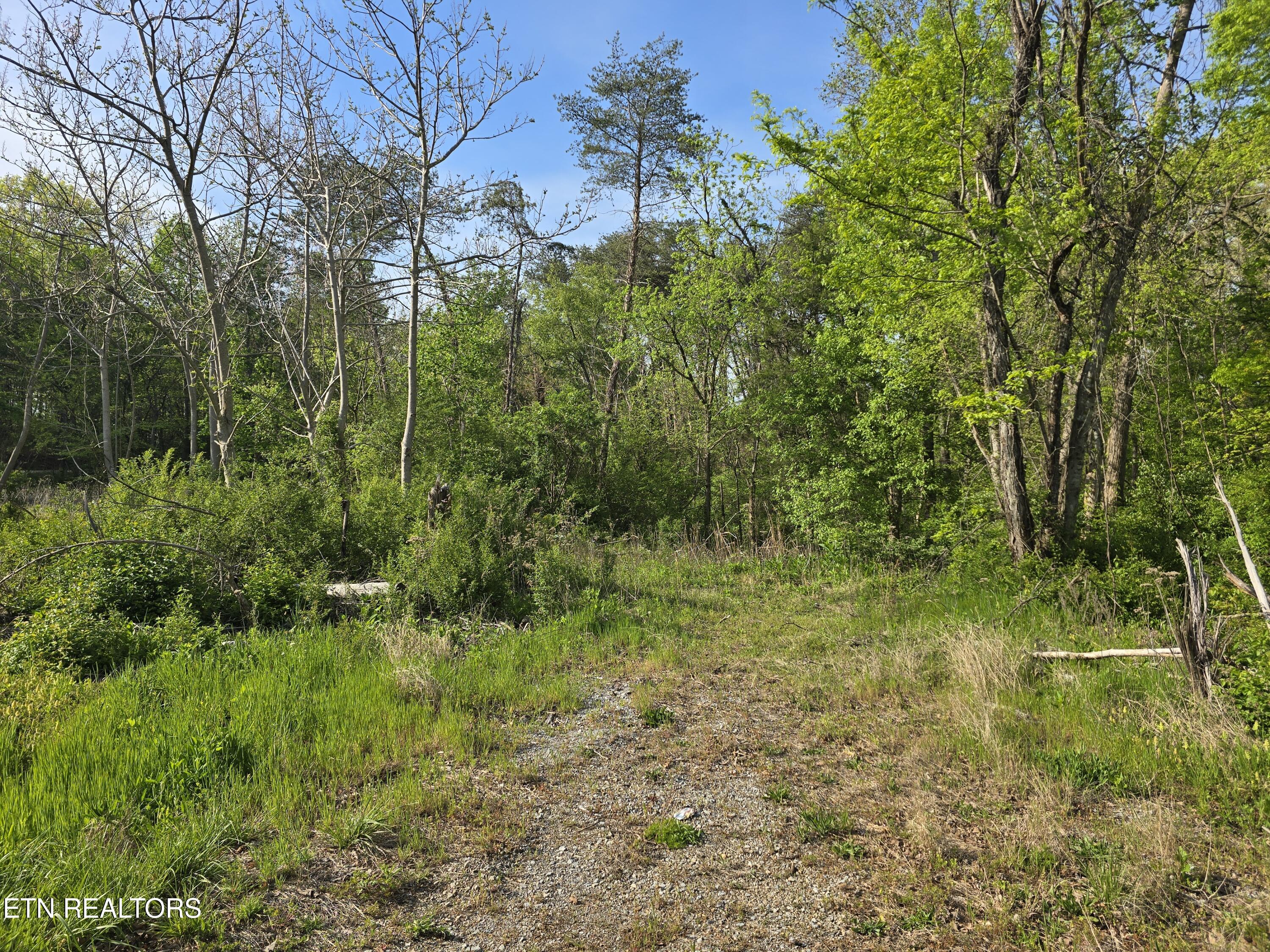 3697 Jackson Bend Road Lenoir City TN 37772