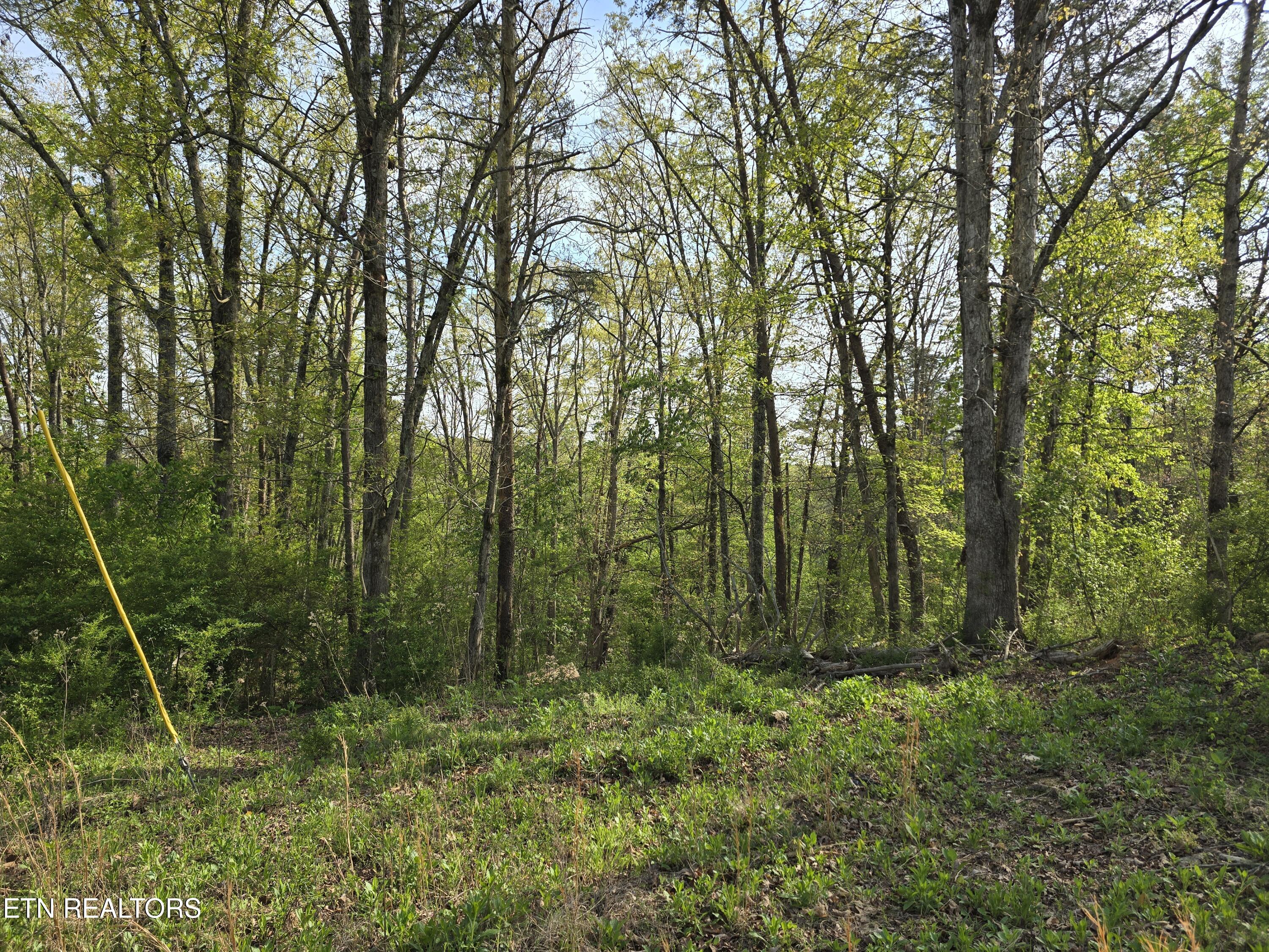 3697 Jackson Bend Road Lenoir City TN 37772