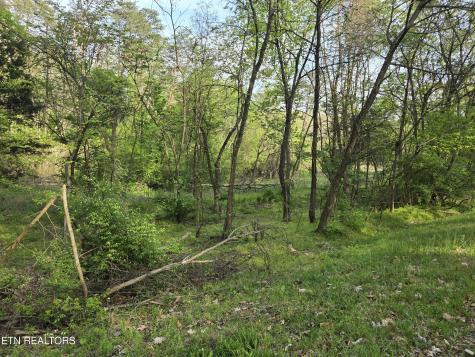 3697 Jackson Bend Road Lenoir City TN 37772