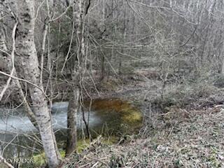 Bates Gibson Road Sevierville TN 37876