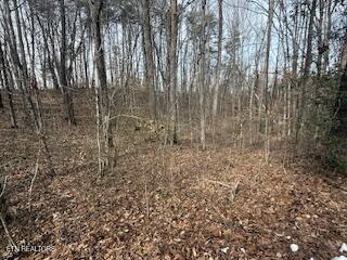 Bates Gibson Road Sevierville TN 37876