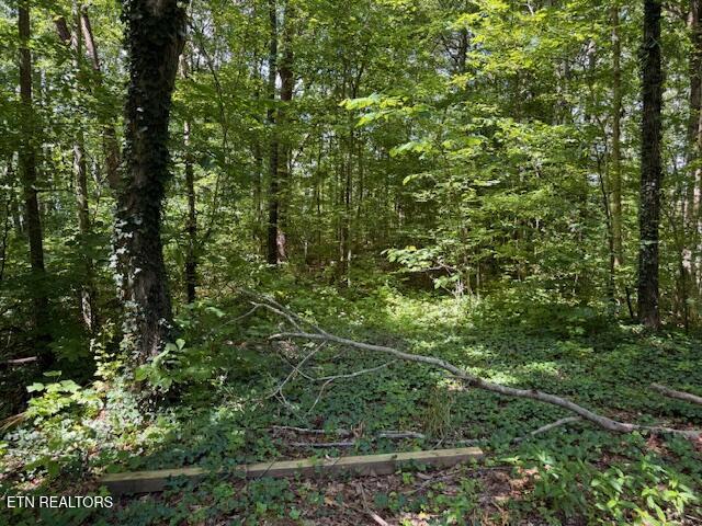Bates Gibson Road Sevierville TN 37876