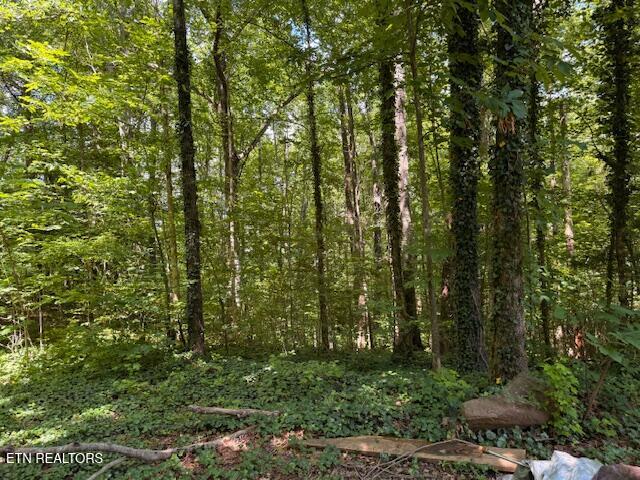 Bates Gibson Road Sevierville TN 37876