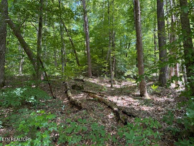 Bates Gibson Road Sevierville TN 37876