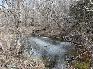 Bates Gibson Road Sevierville TN 37876