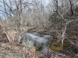 Bates Gibson Road Sevierville TN 37876