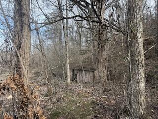 Bates Gibson Road Sevierville TN 37876