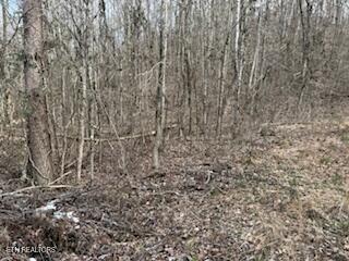 Bates Gibson Road Sevierville TN 37876