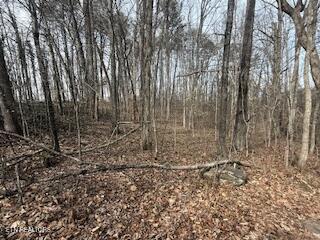 Bates Gibson Road Sevierville TN 37876