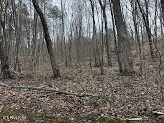 Bates Gibson Road Sevierville TN 37876