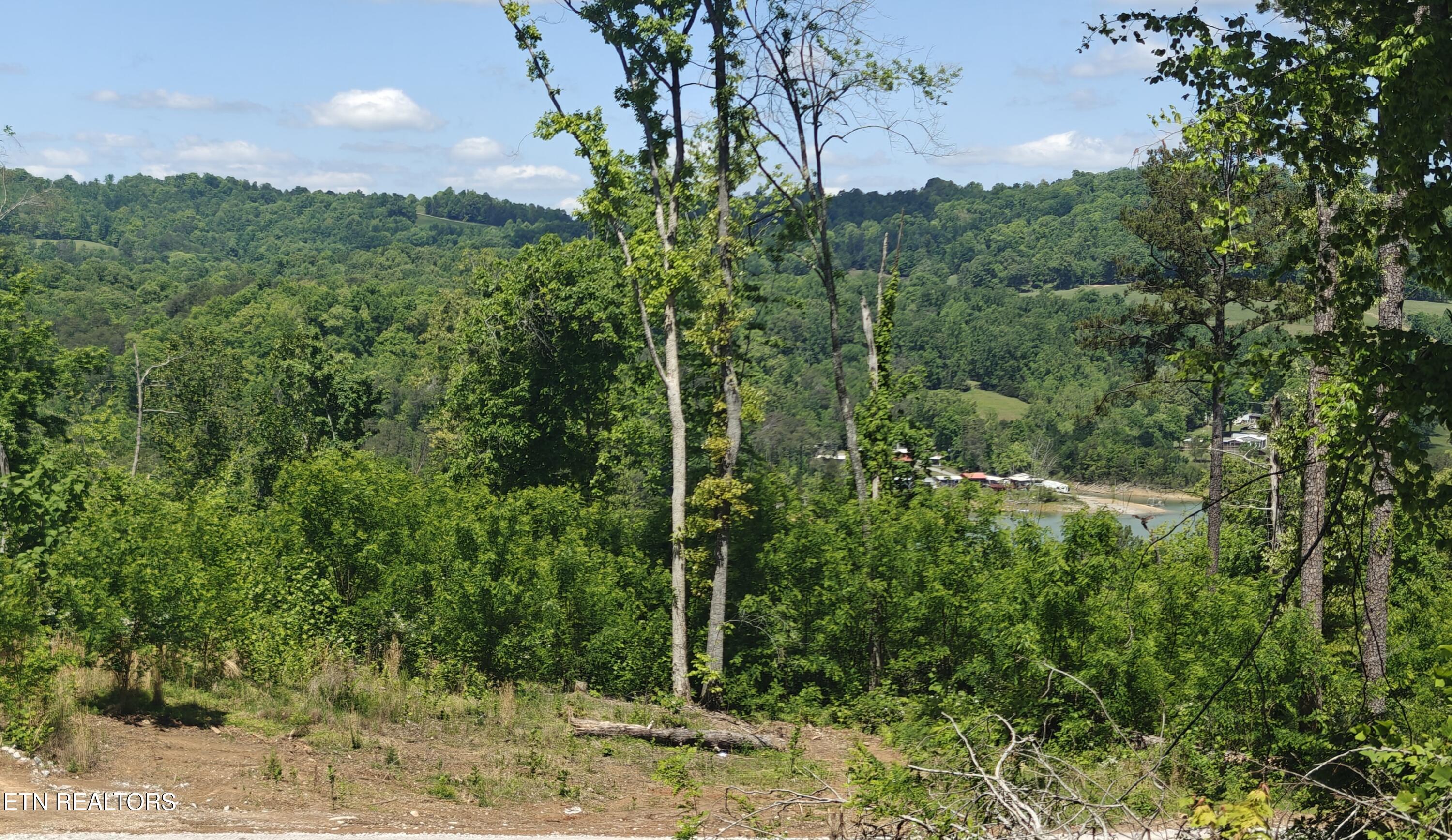 Lake Lane Lot 17 New Tazewell TN 37825