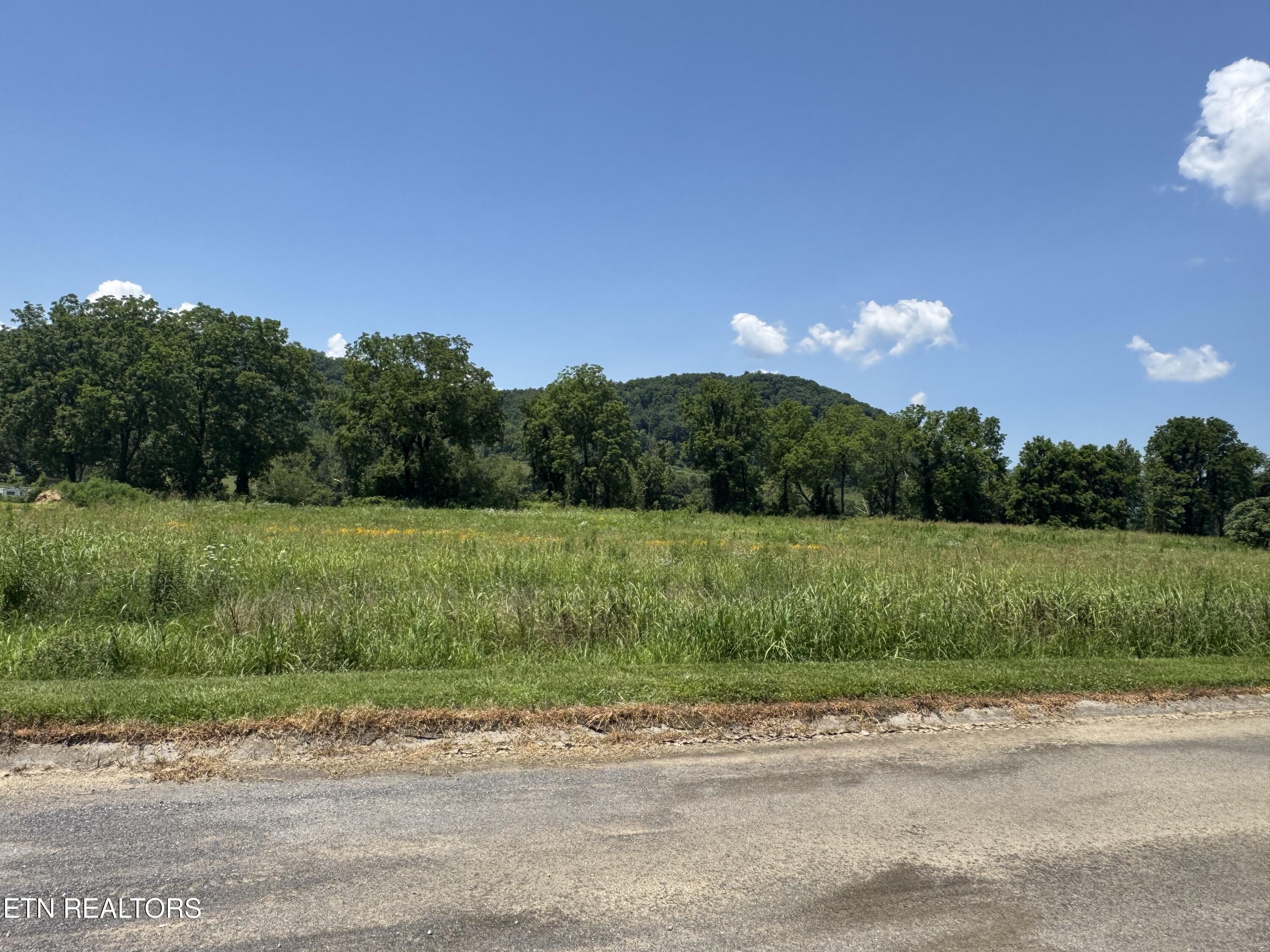 River Rapids Way Lot 138 Del Rio TN 37727