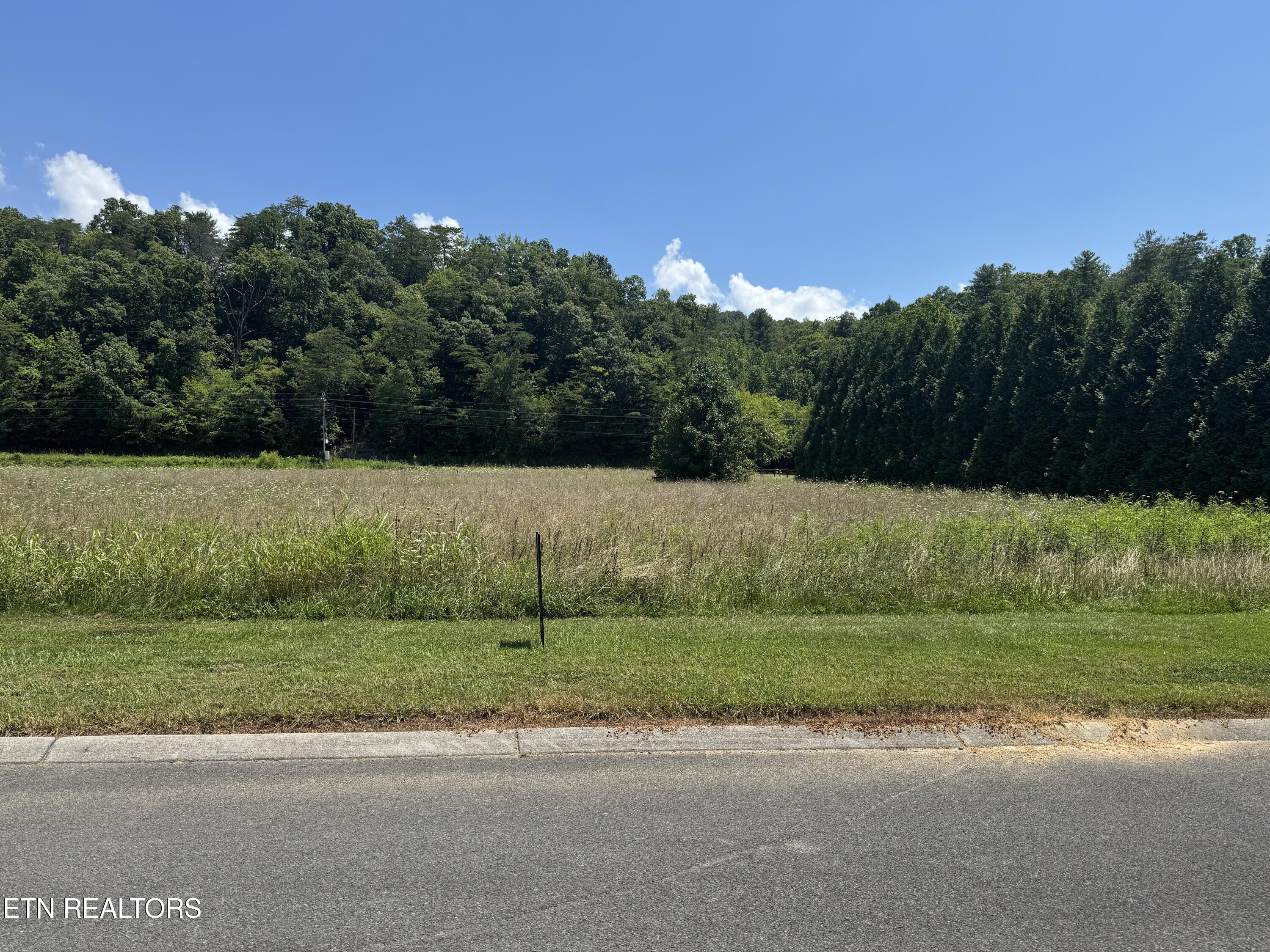 River Rapids Way Lot 138 Del Rio TN 37727