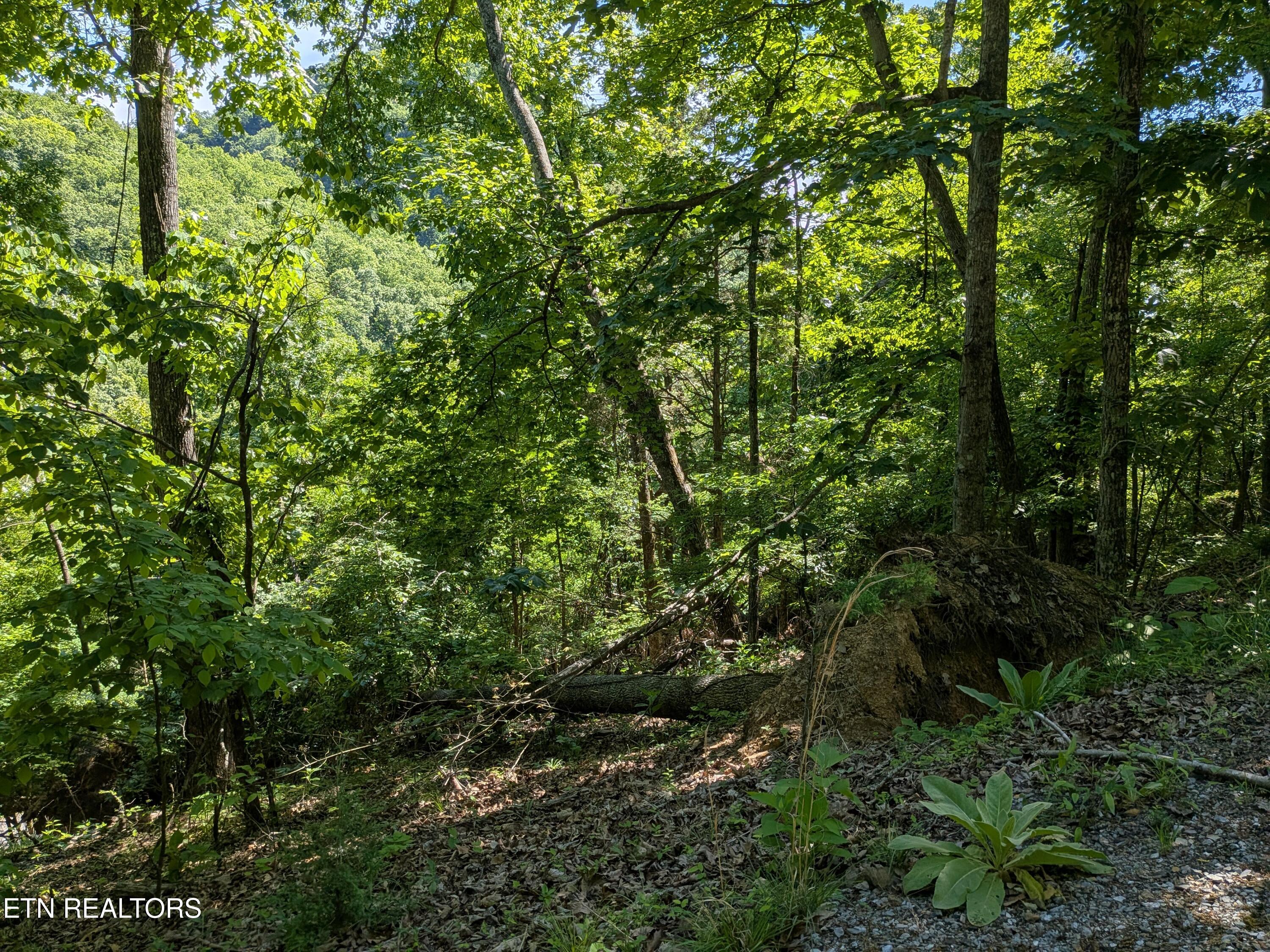306 Hickory Knoll Circle Whitesburg TN 37891