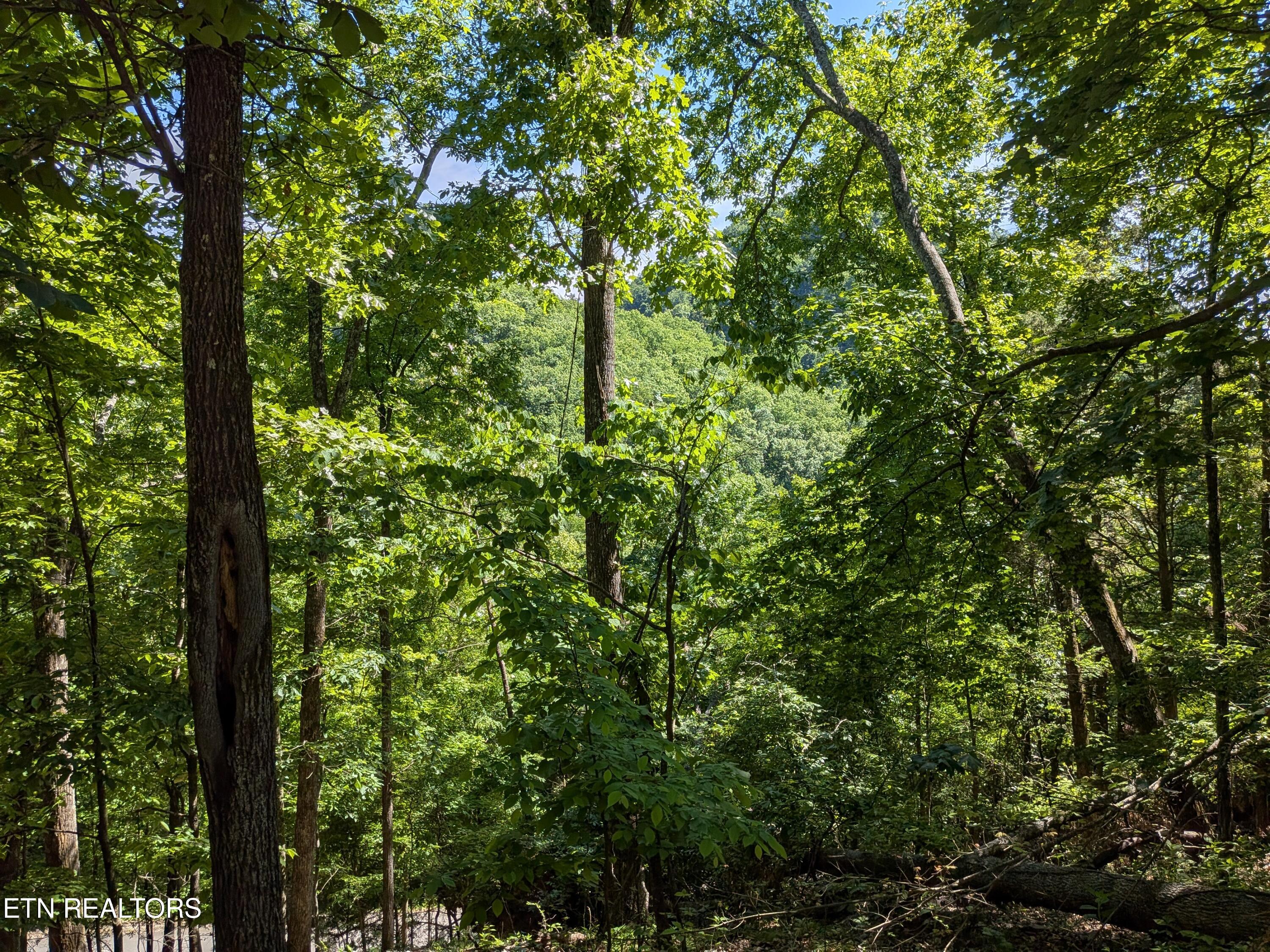306 Hickory Knoll Circle Whitesburg TN 37891
