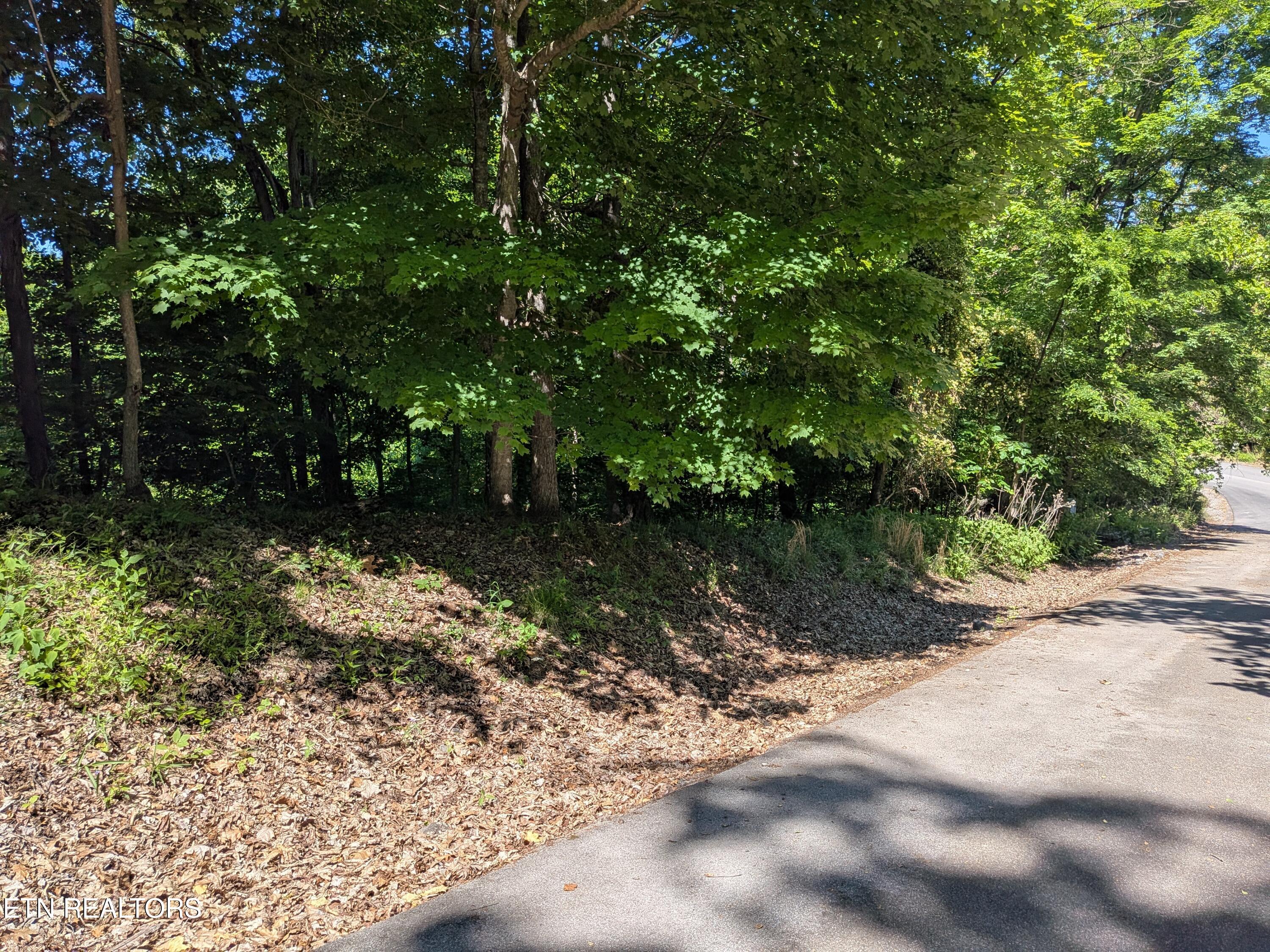 306 Hickory Knoll Circle Whitesburg TN 37891