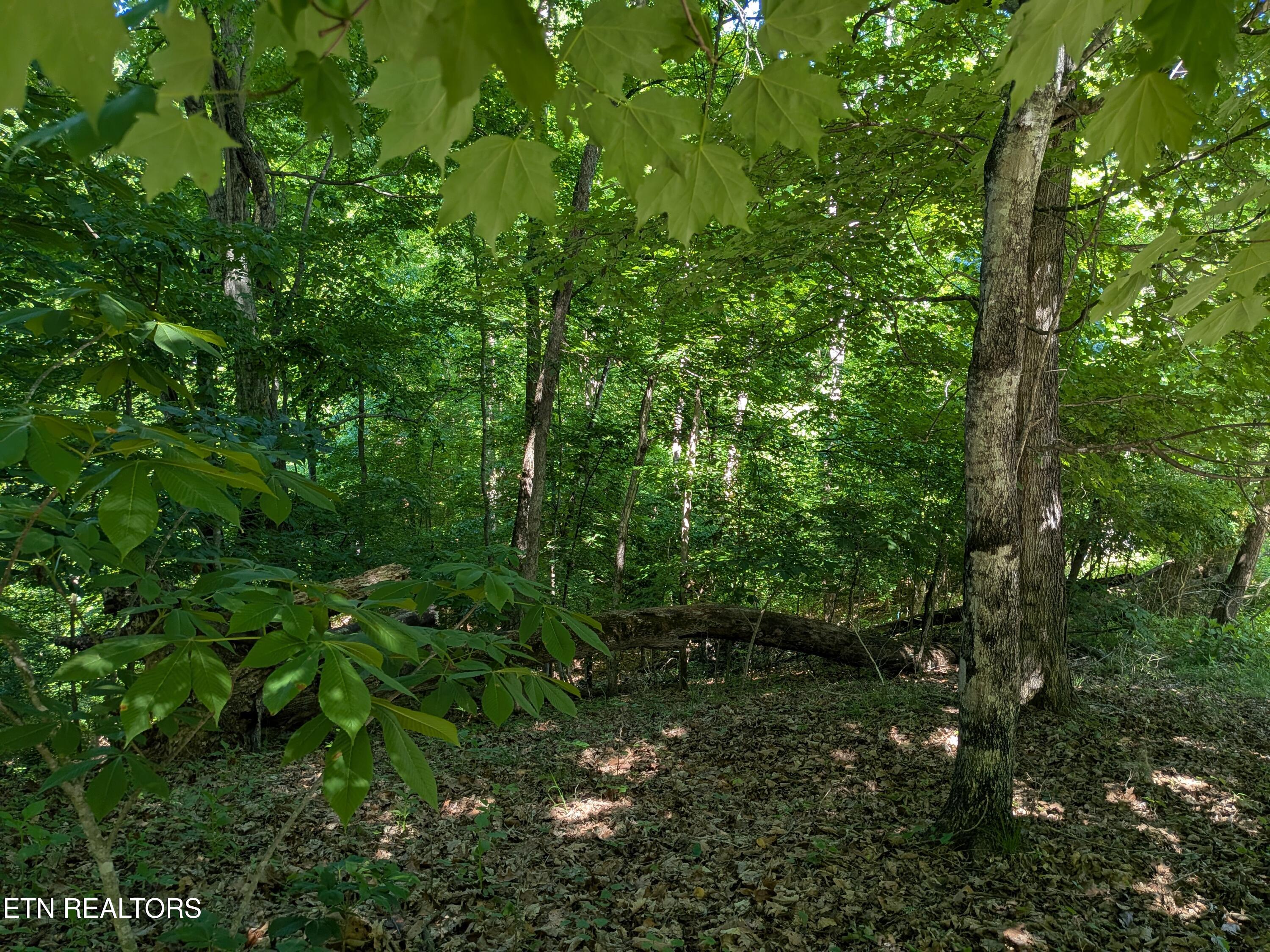 306 Hickory Knoll Circle Whitesburg TN 37891