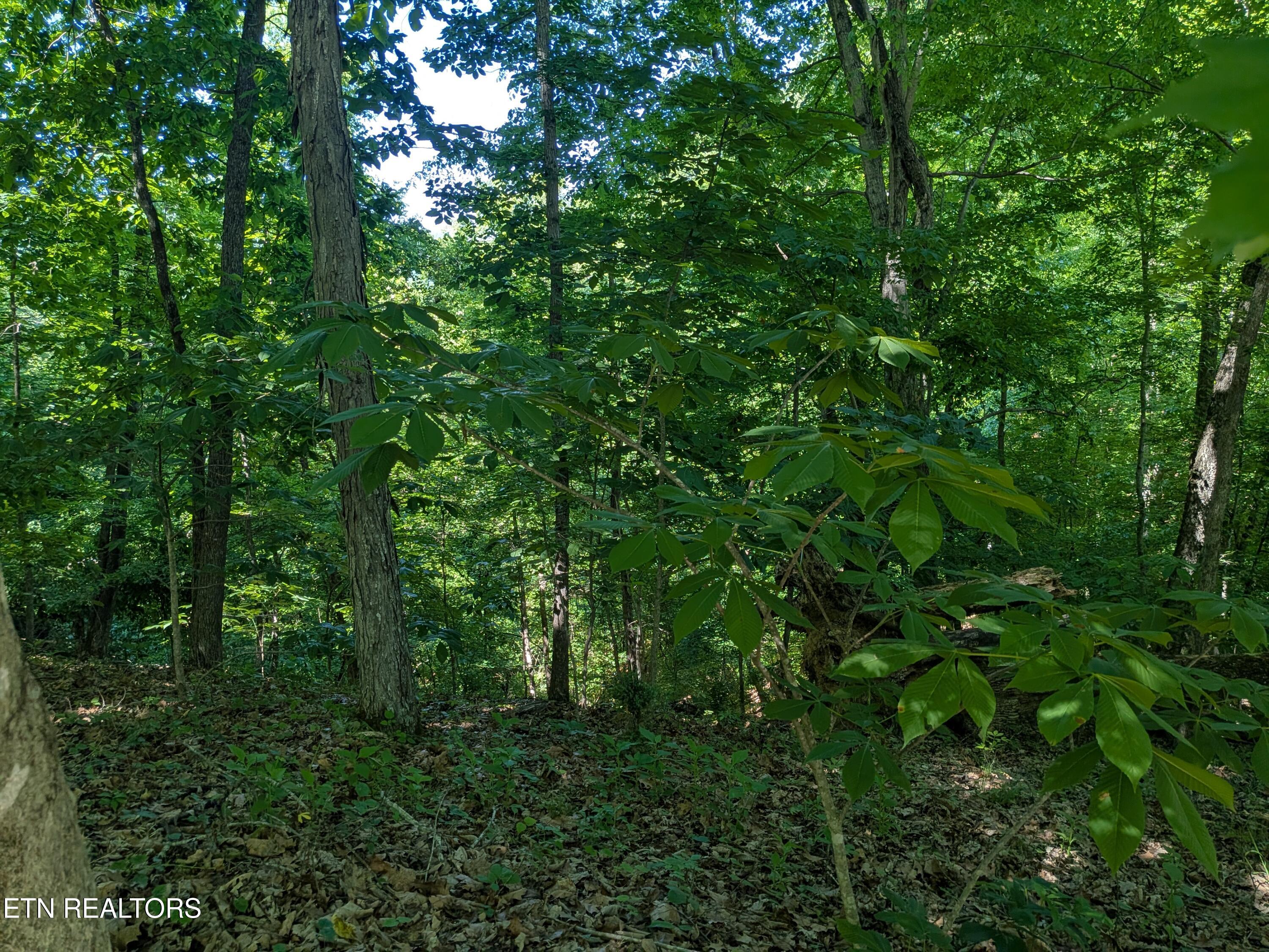 306 Hickory Knoll Circle Whitesburg TN 37891