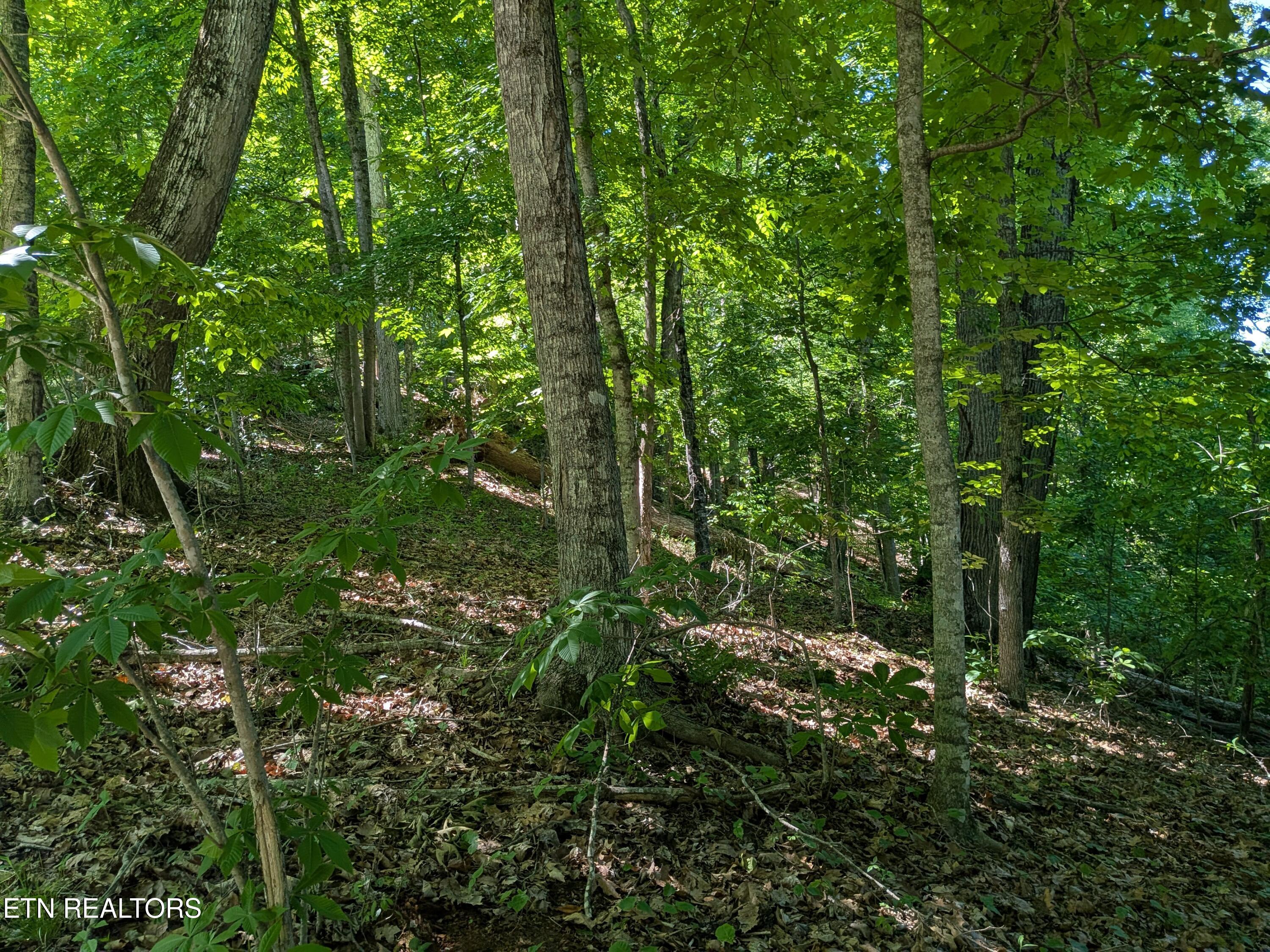 306 Hickory Knoll Circle Whitesburg TN 37891