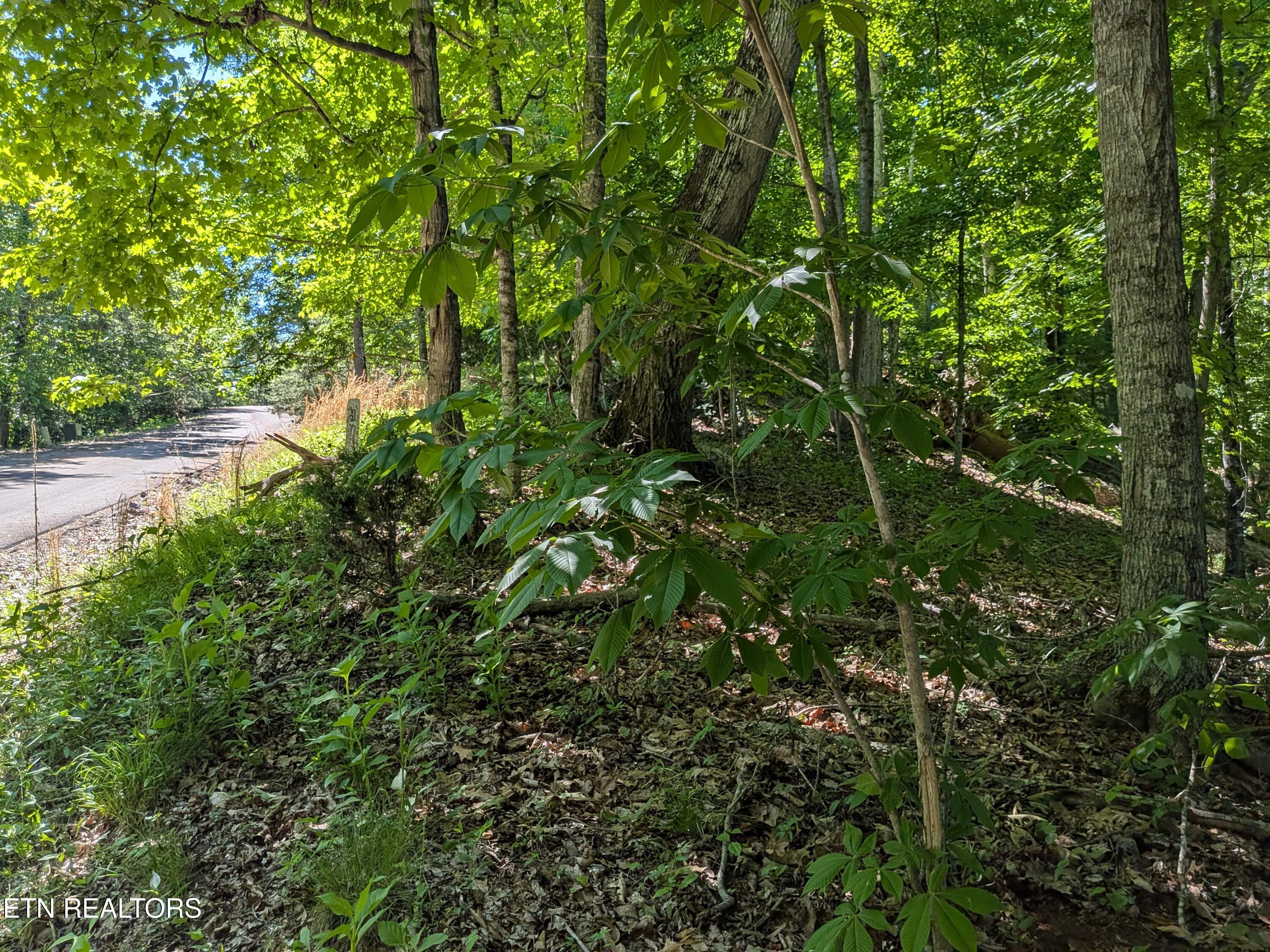 306 Hickory Knoll Circle Whitesburg TN 37891