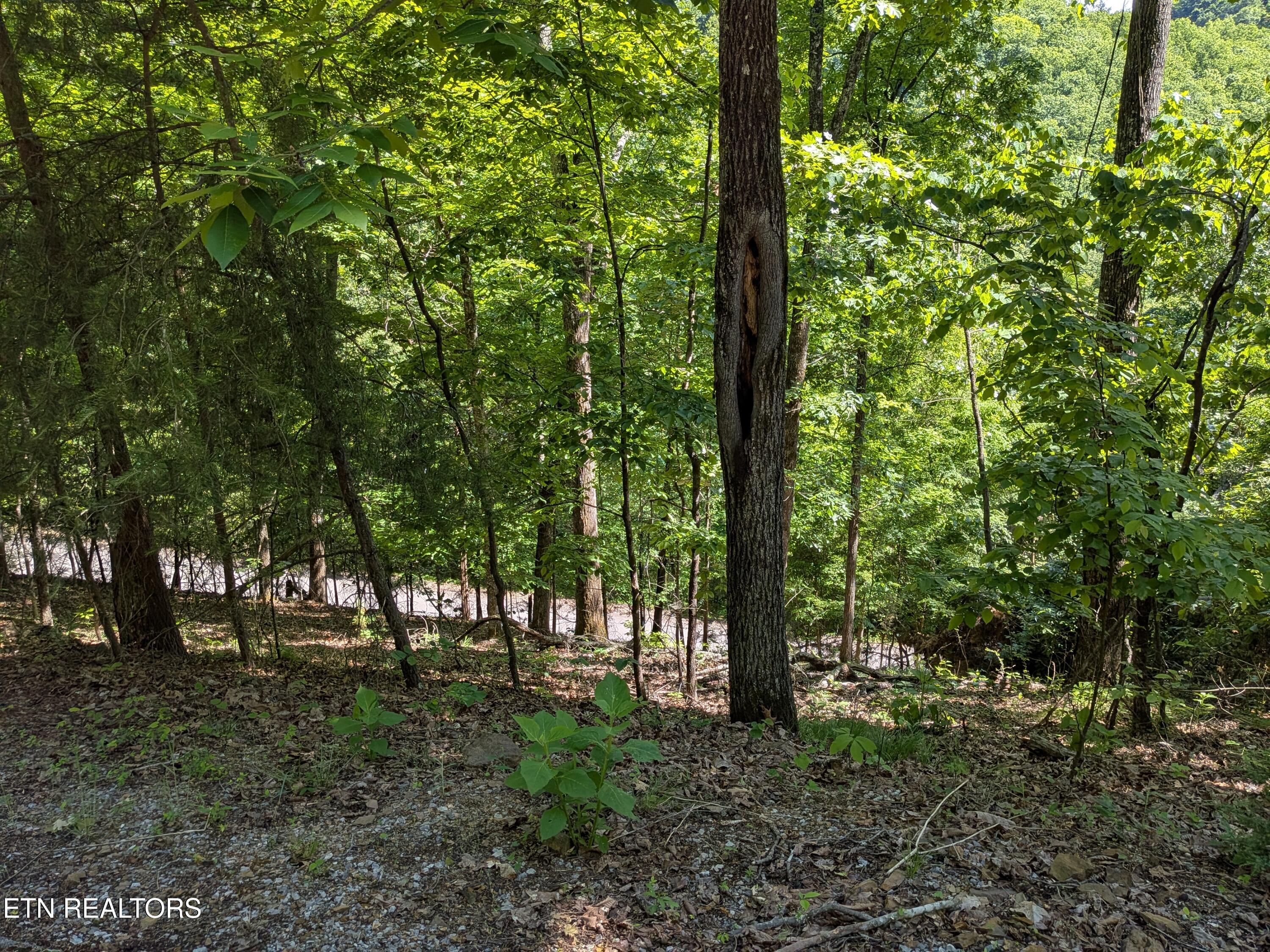 306 Hickory Knoll Circle Whitesburg TN 37891