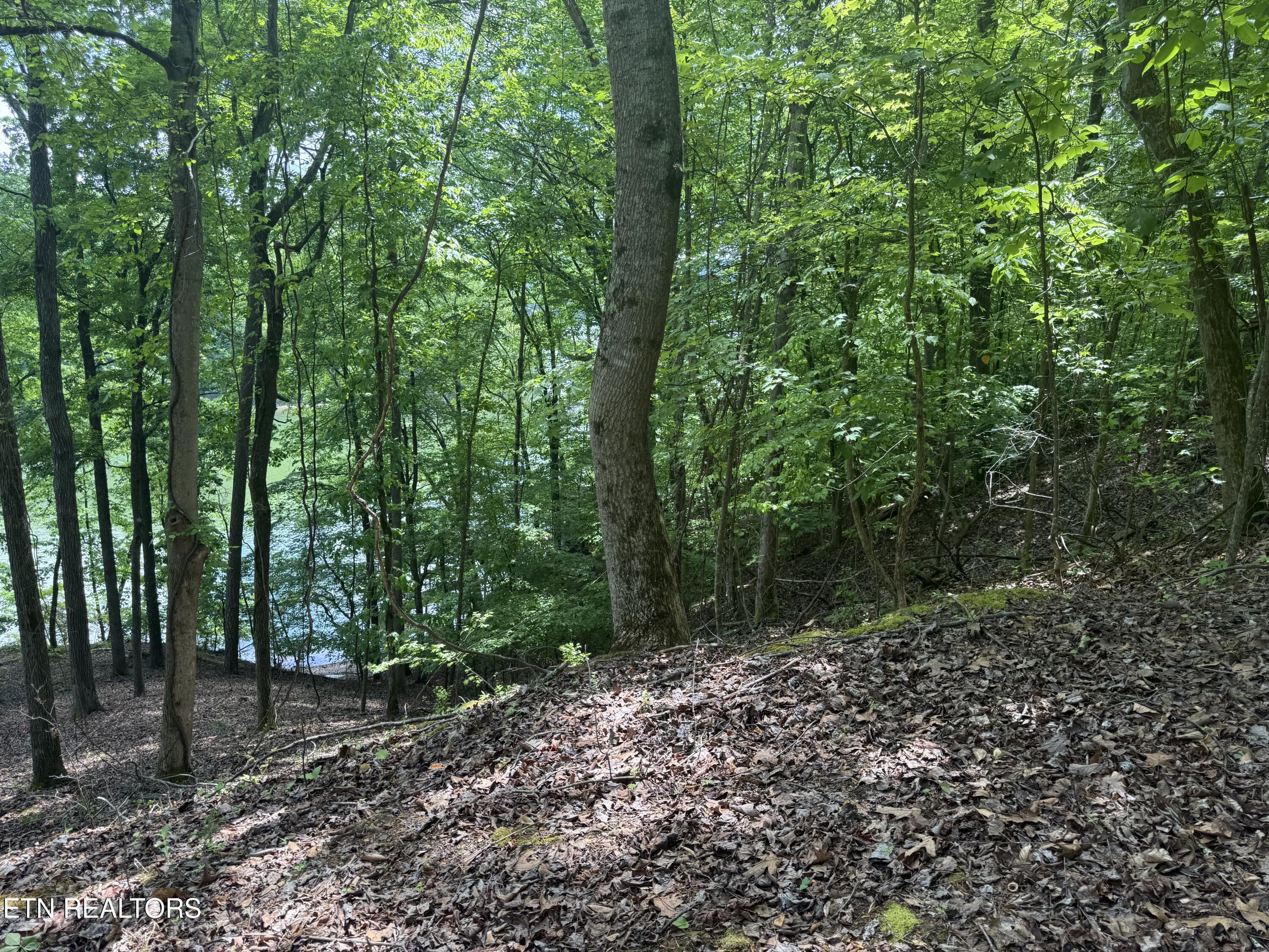 1196 Indian Shadows Drive Ten Mile TN 37880