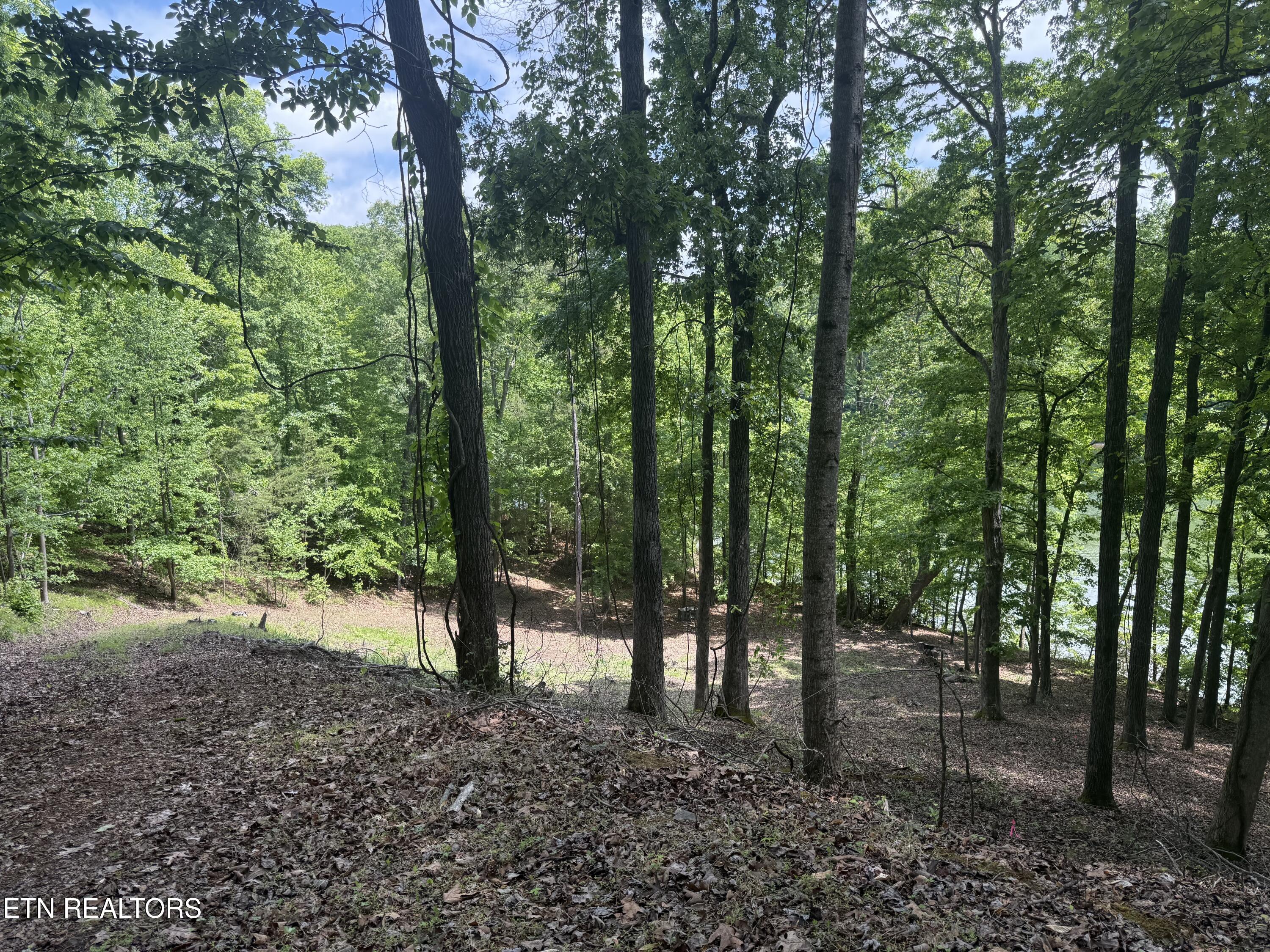 1196 Indian Shadows Drive Ten Mile TN 37880