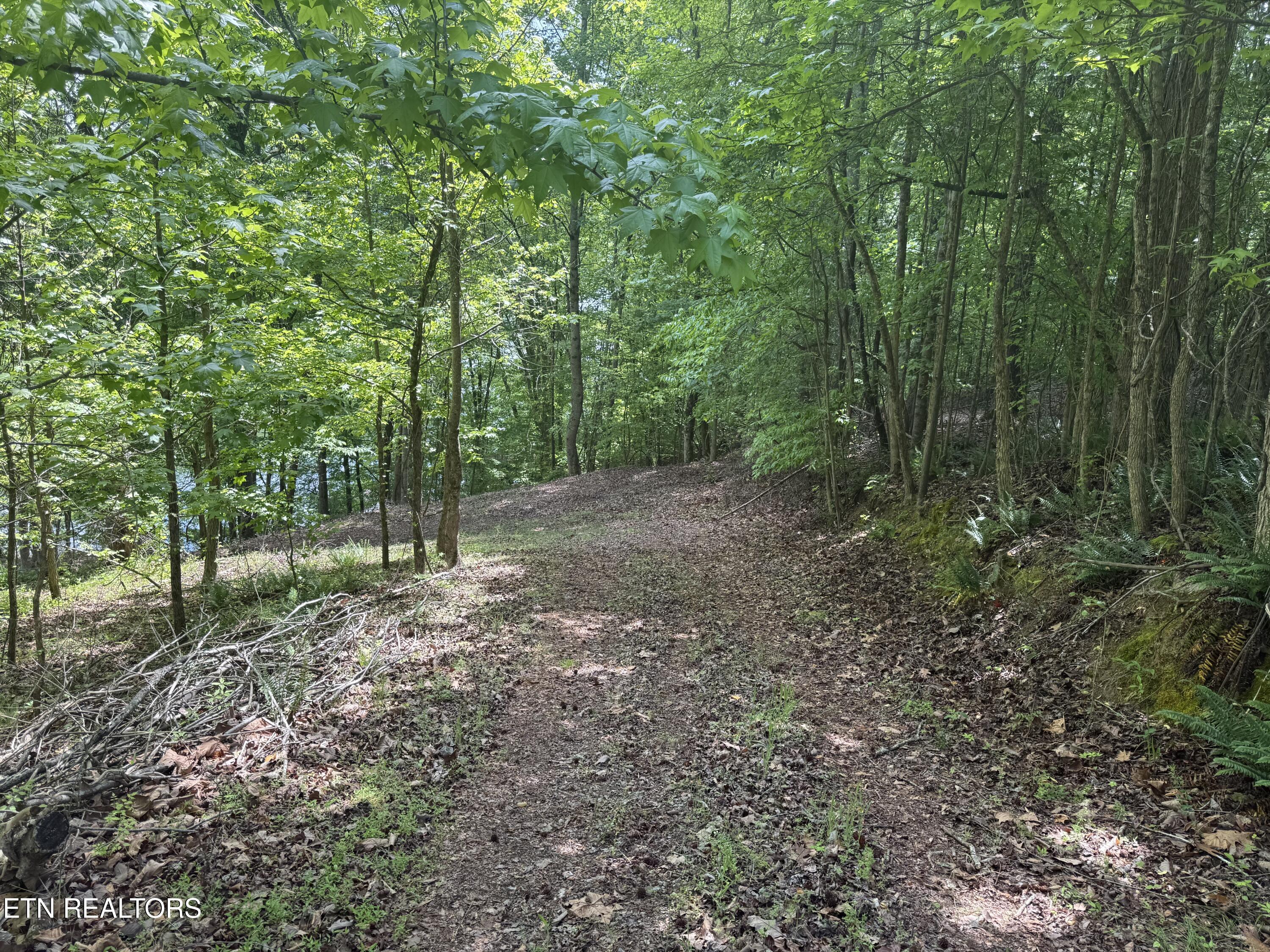 1196 Indian Shadows Drive Ten Mile TN 37880
