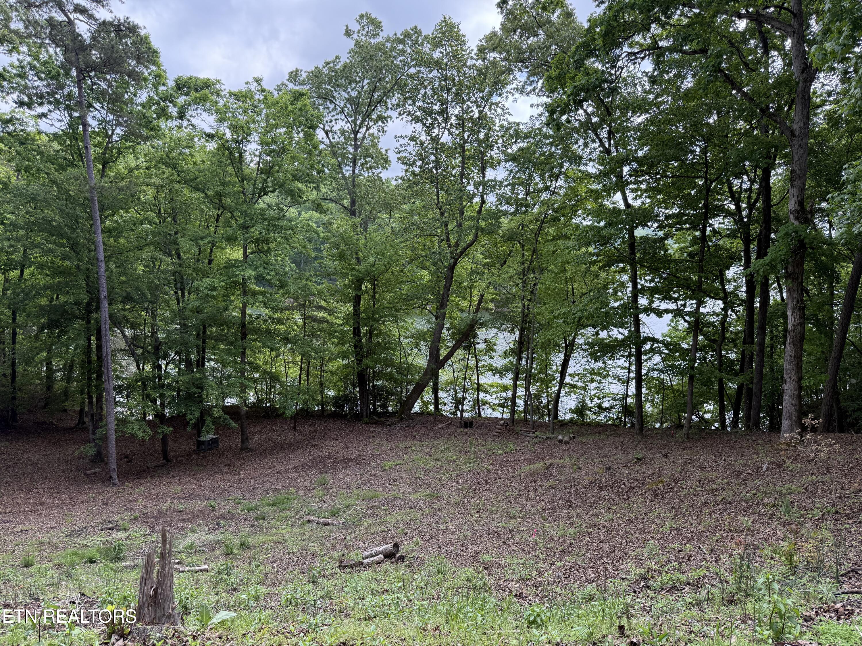 1196 Indian Shadows Drive Ten Mile TN 37880