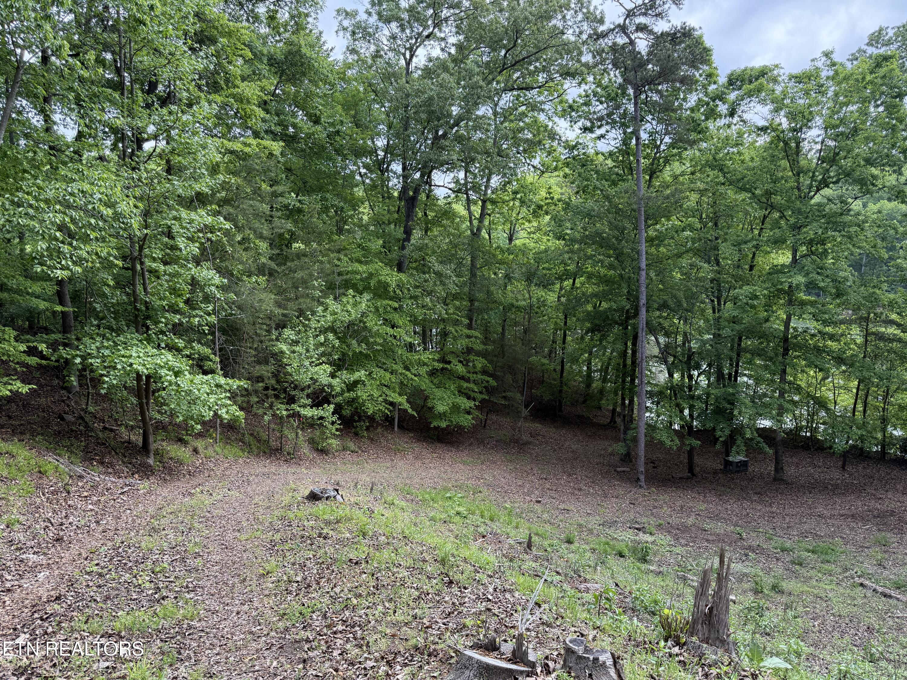 1196 Indian Shadows Drive Ten Mile TN 37880