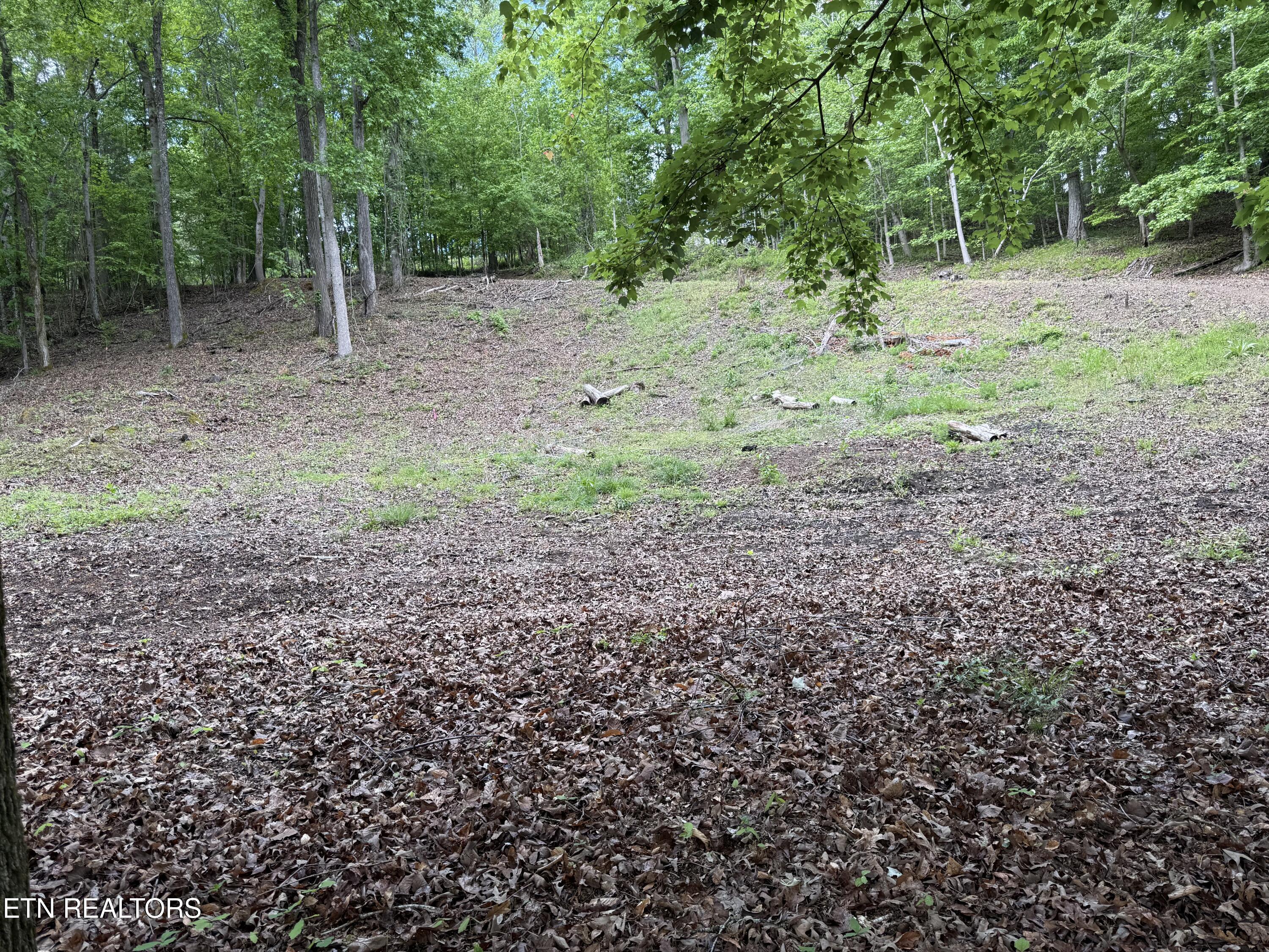 1196 Indian Shadows Drive Ten Mile TN 37880