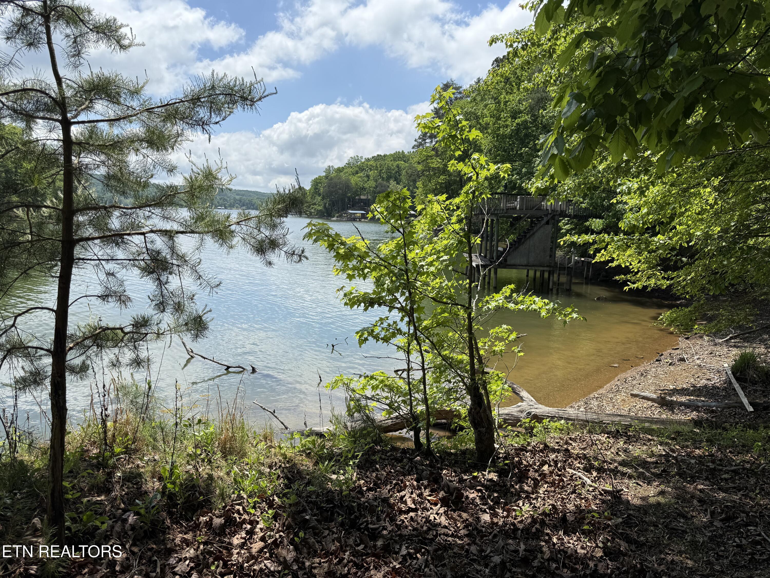 1196 Indian Shadows Drive Ten Mile TN 37880