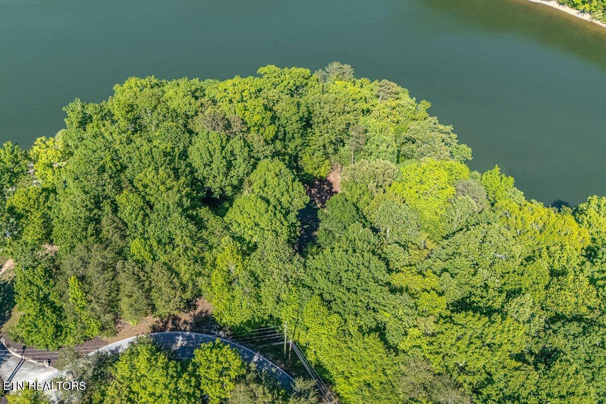 1196 Indian Shadows Drive Ten Mile TN 37880
