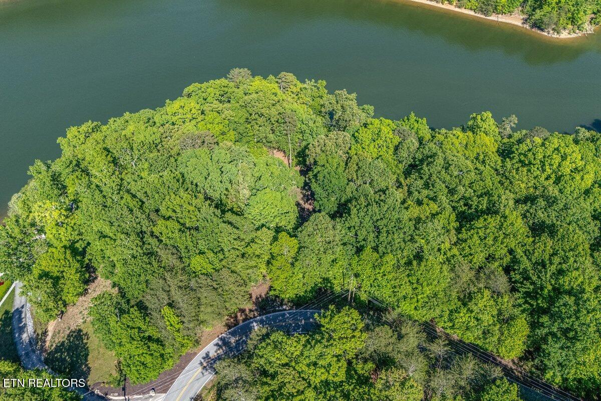 1196 Indian Shadows Drive Ten Mile TN 37880