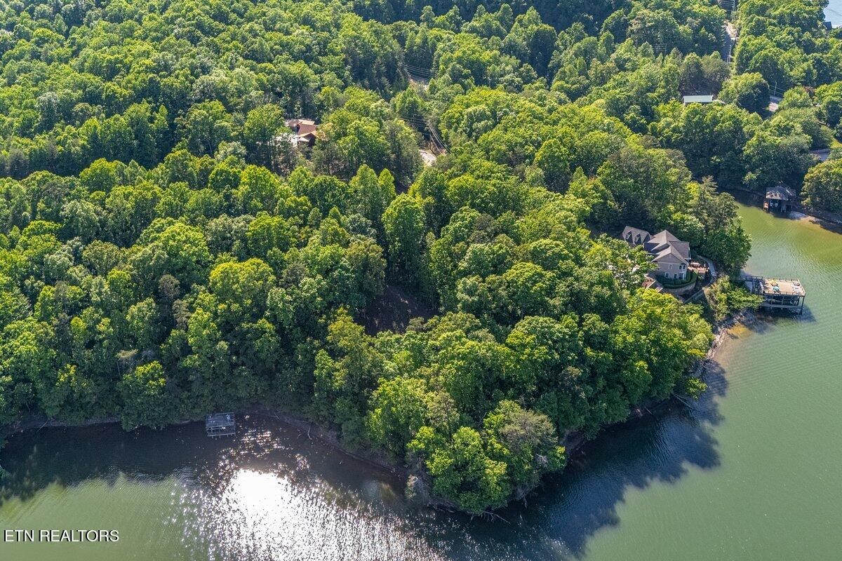 1196 Indian Shadows Drive Ten Mile TN 37880