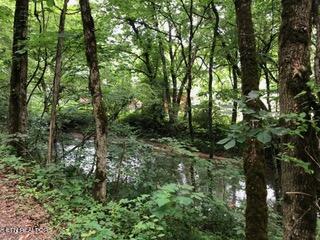 283 Providence Road Cumberland Gap TN 37724