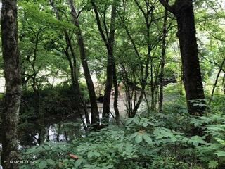 283 Providence Road Cumberland Gap TN 37724